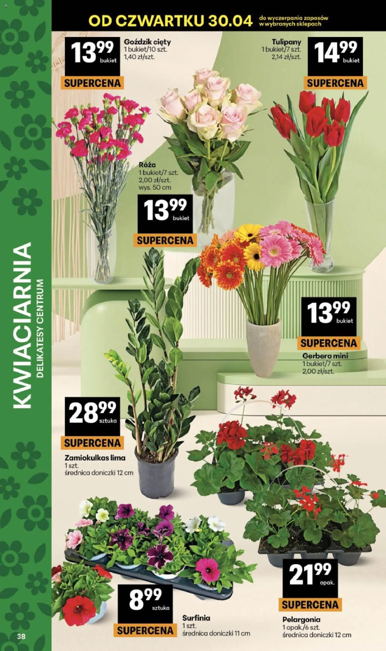 Delikatesy Centrum gazetka - Sklepy Własne od 30.04.2026 | Strona: 38 | Produkty: Zamiokulkas, Delikatesy, Doniczki, Tulipany