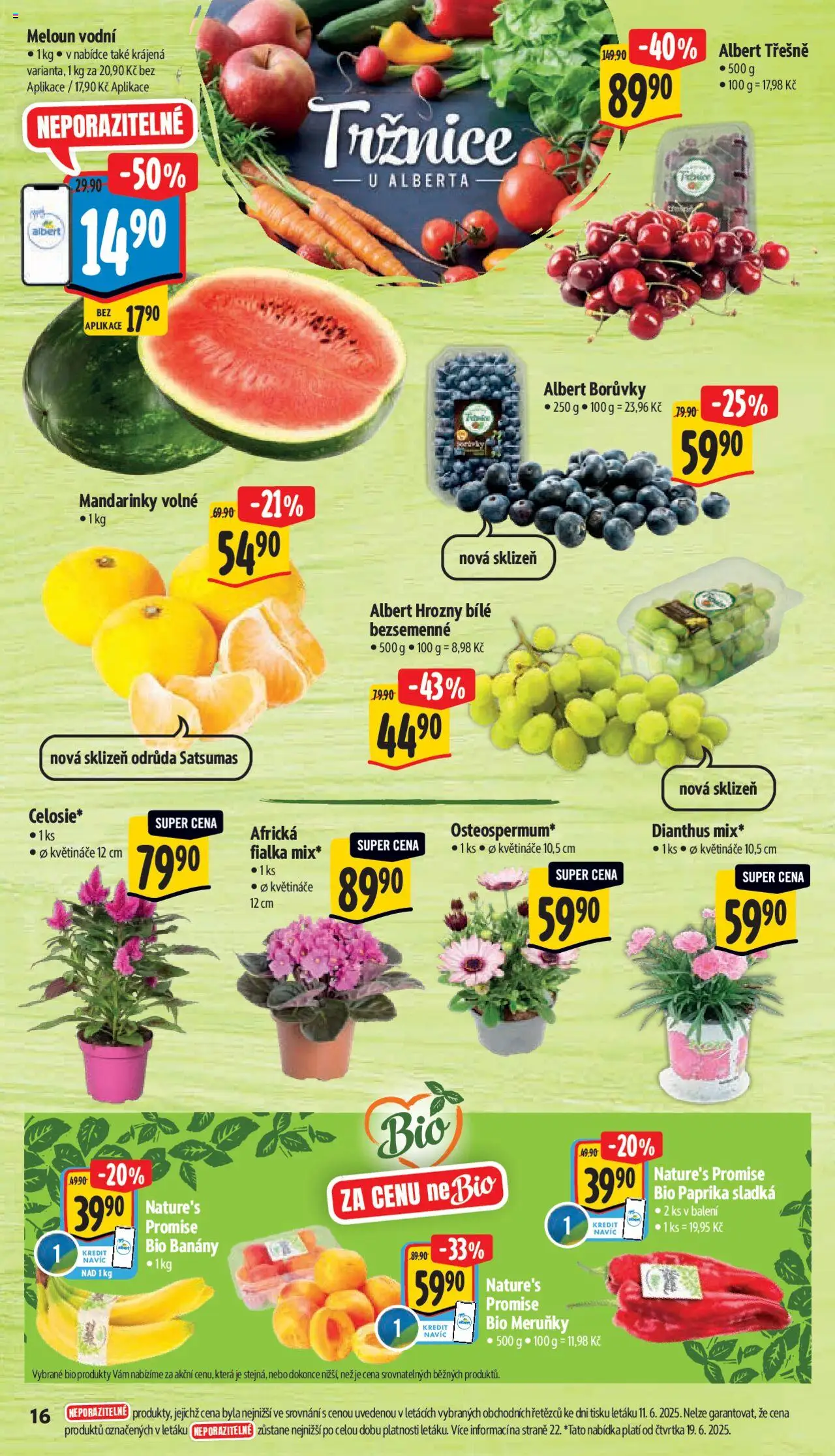 Albert leták - Supermarket od 18.06.2025 | Strana: 22 | Produkty: Třešně, Mandarinky, Borůvky, Meruňky
