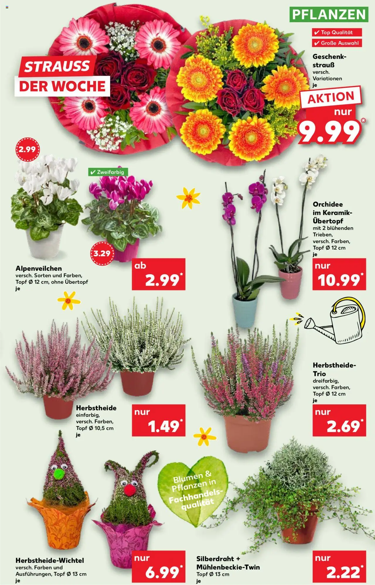 Kaufland prospekt Kiel	 – gültig ab 09.10.2025 | Seite: 5 | Produkte: Top, Orchidee, Blumen