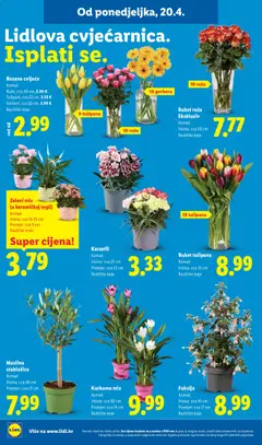 Lidl Katalog - Pregled kataloga iz trgovine Lidl, vrijedi od 20.04.2026 | Stranica: 32