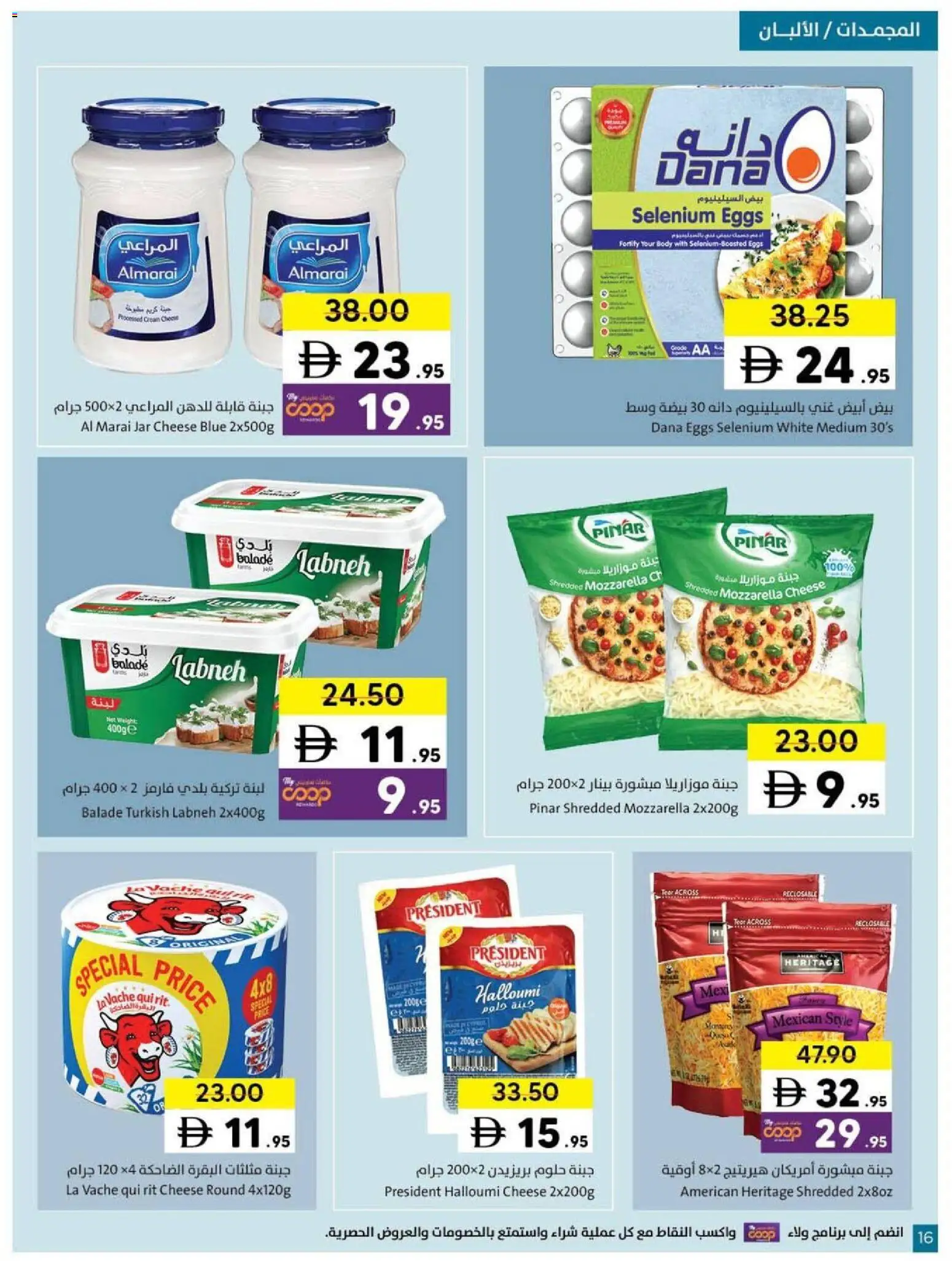 {H1} | Page: 16 | Products: Pivo, Vajcia, Котлон