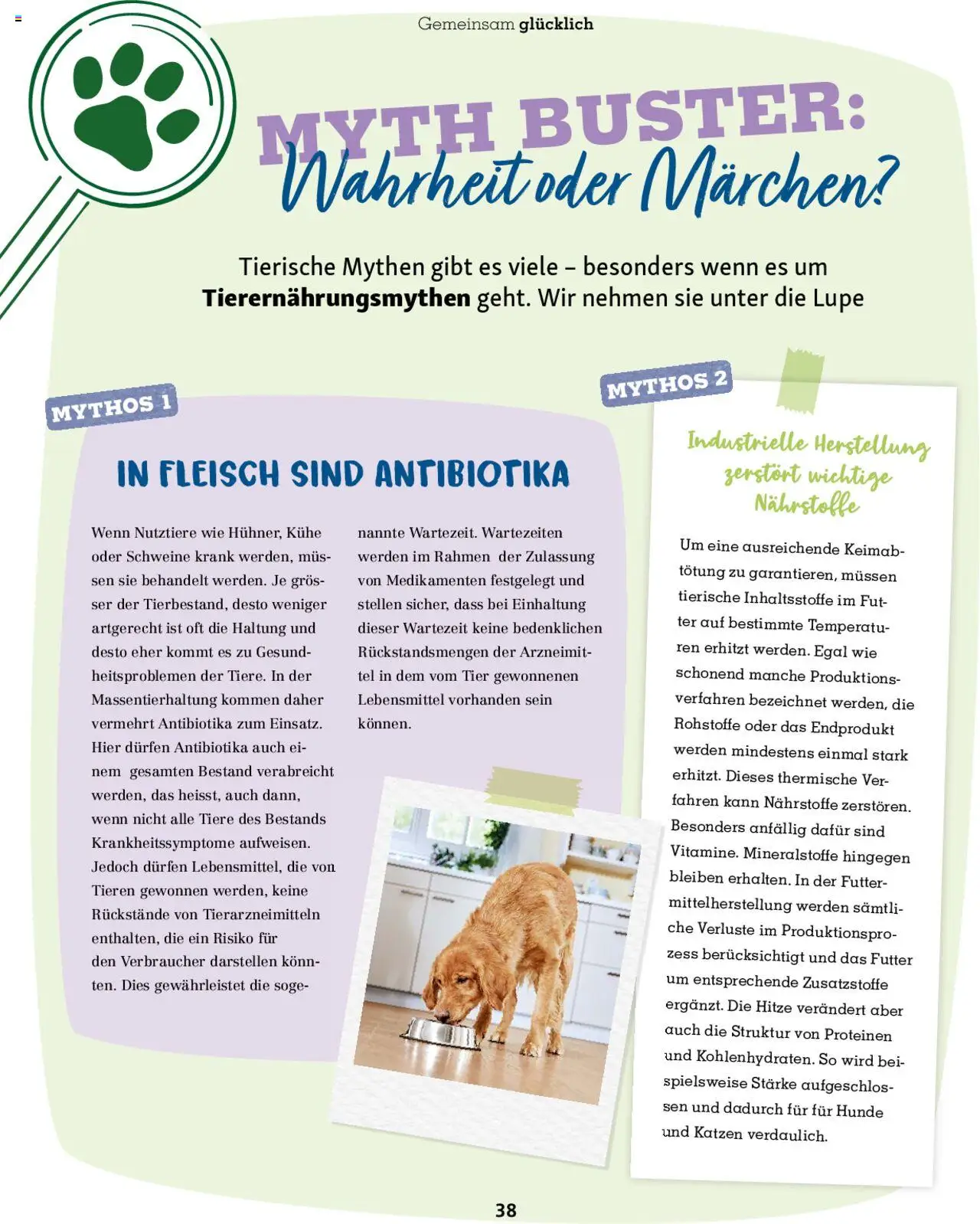 Fressnapf Magazin ab 01.07.2025 | Seite: 38