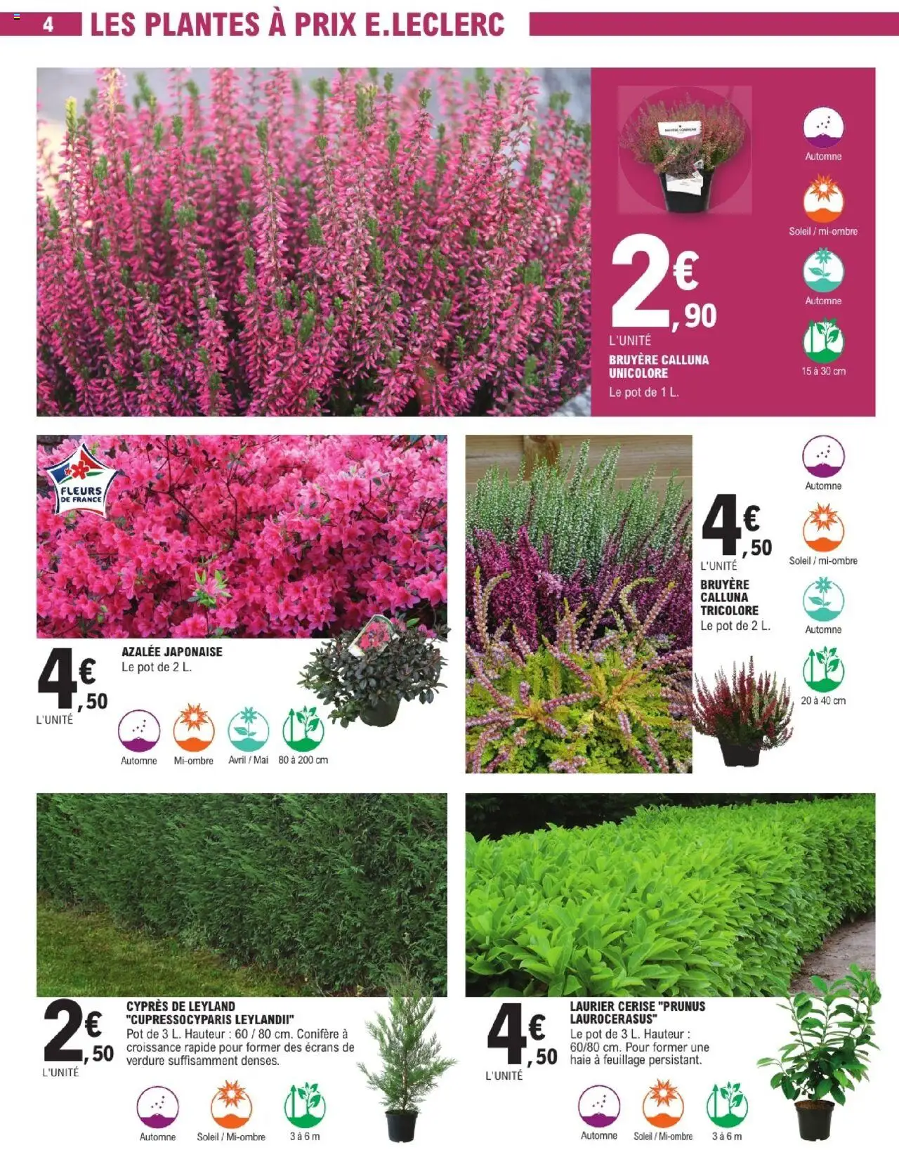  | Page: 4 | Produits: Plantes