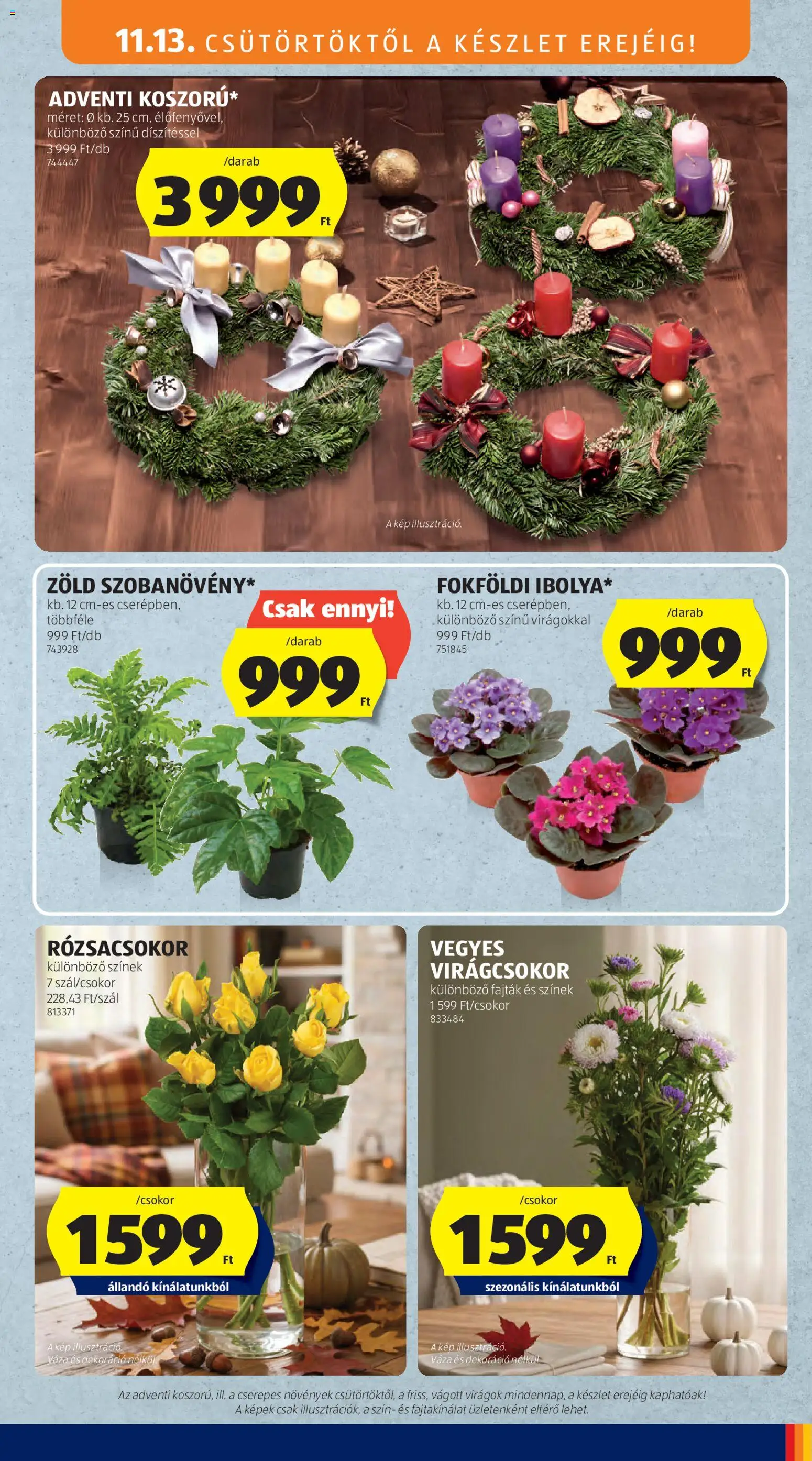Aldi akciós ujság - amely érvényes a következő dátumtól: 13.11.2025 | Oldal: 11 | Termékek: Virágok, Váza, Dekoráció