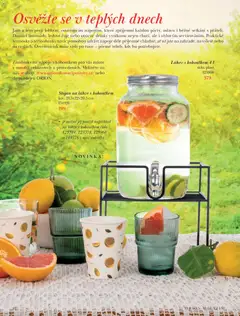 Náhled letáku Orion leták - Jaro/Léto 2026 od 09.03.2026 | Strana: 62 | Produkty: Čaje, Lahve, Láhev