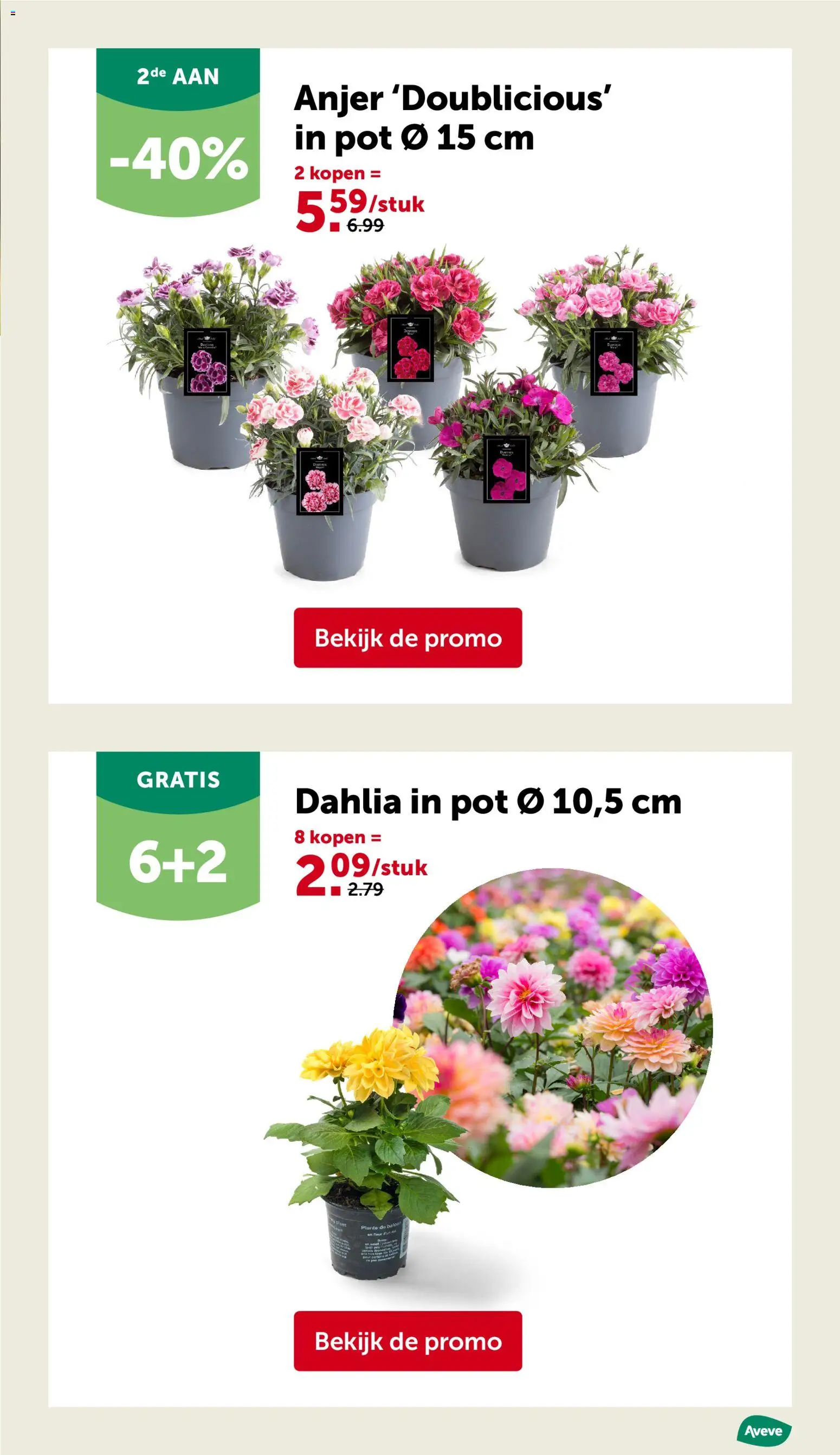 {H1} | Pagina: 11 | Producten: Pot