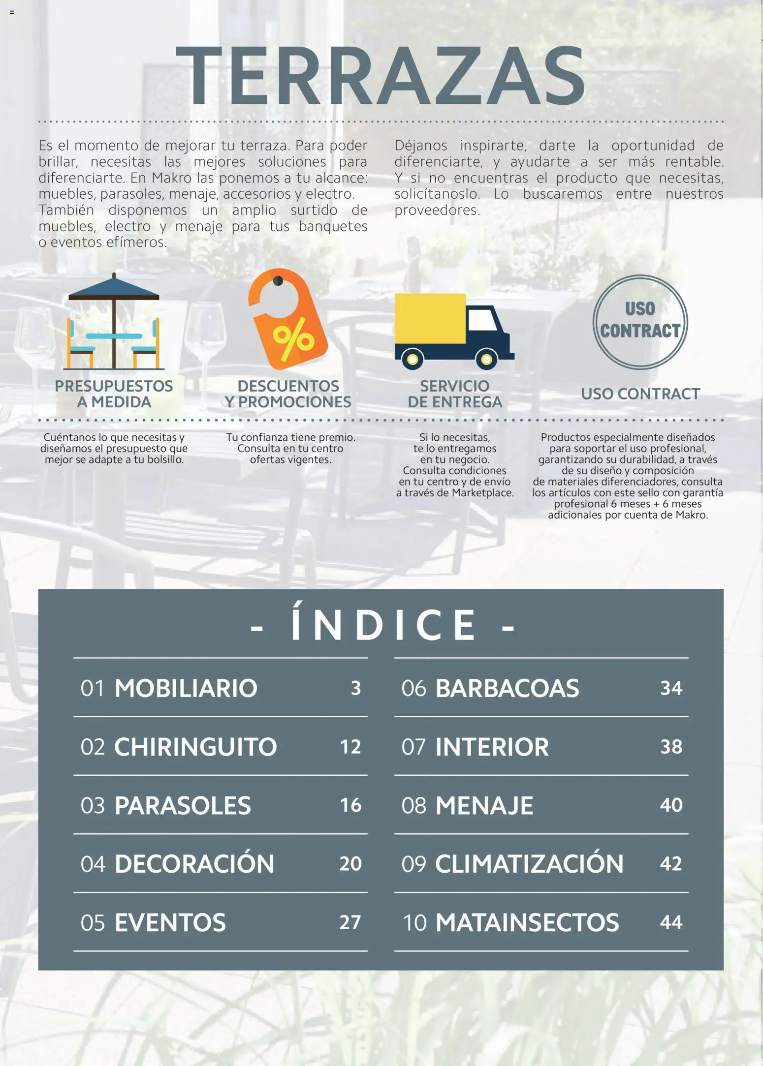 Makro - Especial Terrazas Canarias │ válido desde el 09.03.2026 | Página: 2 | Productos: Té