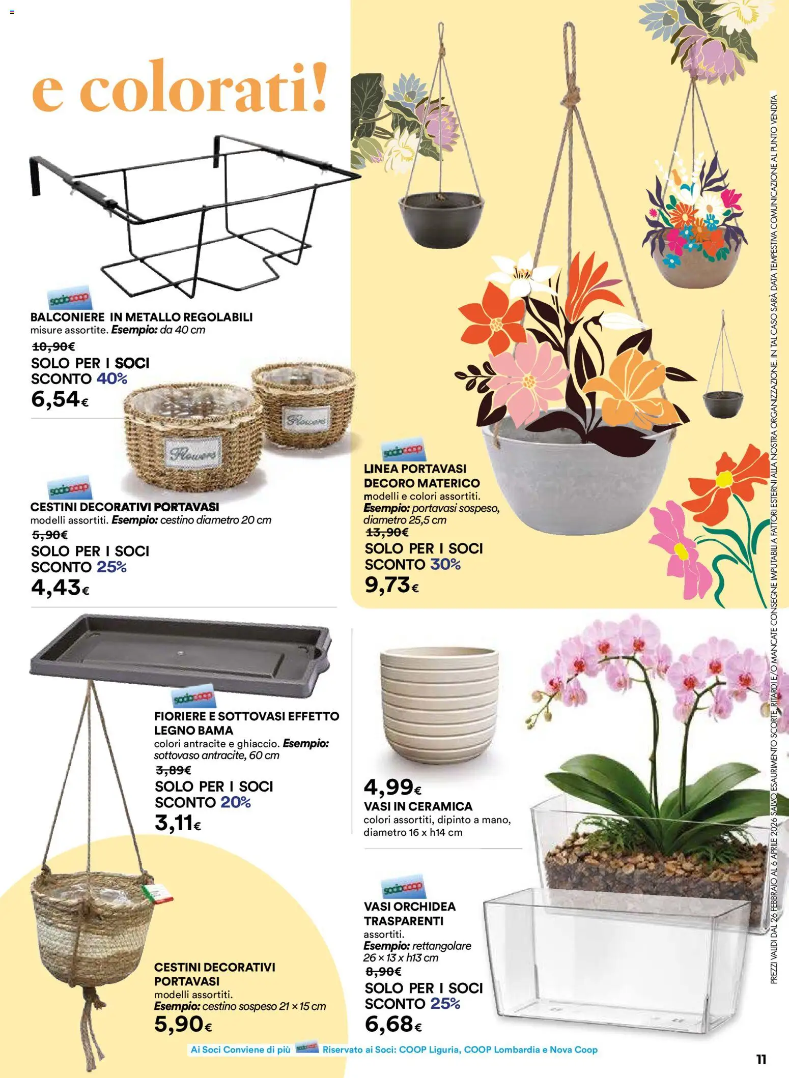 Volantino Ipercoop del 26.02.2026 | Pagina: 11 | Prodotti: Portavasi, Data, Orchidea, Cestino