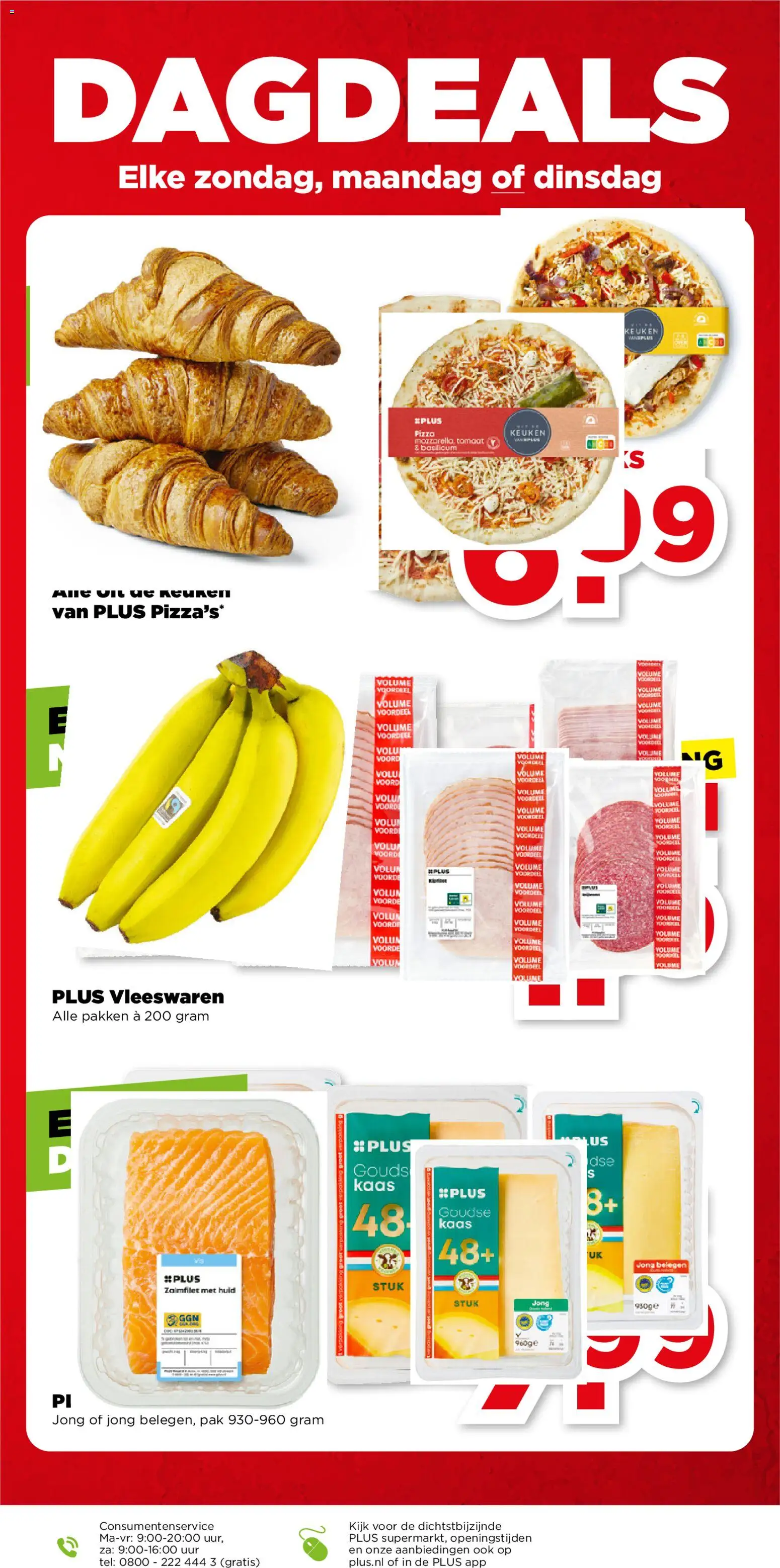 {H1} | Pagina: 45 | Producten: Tomaat, Pizza, Mozzarella, Gouda