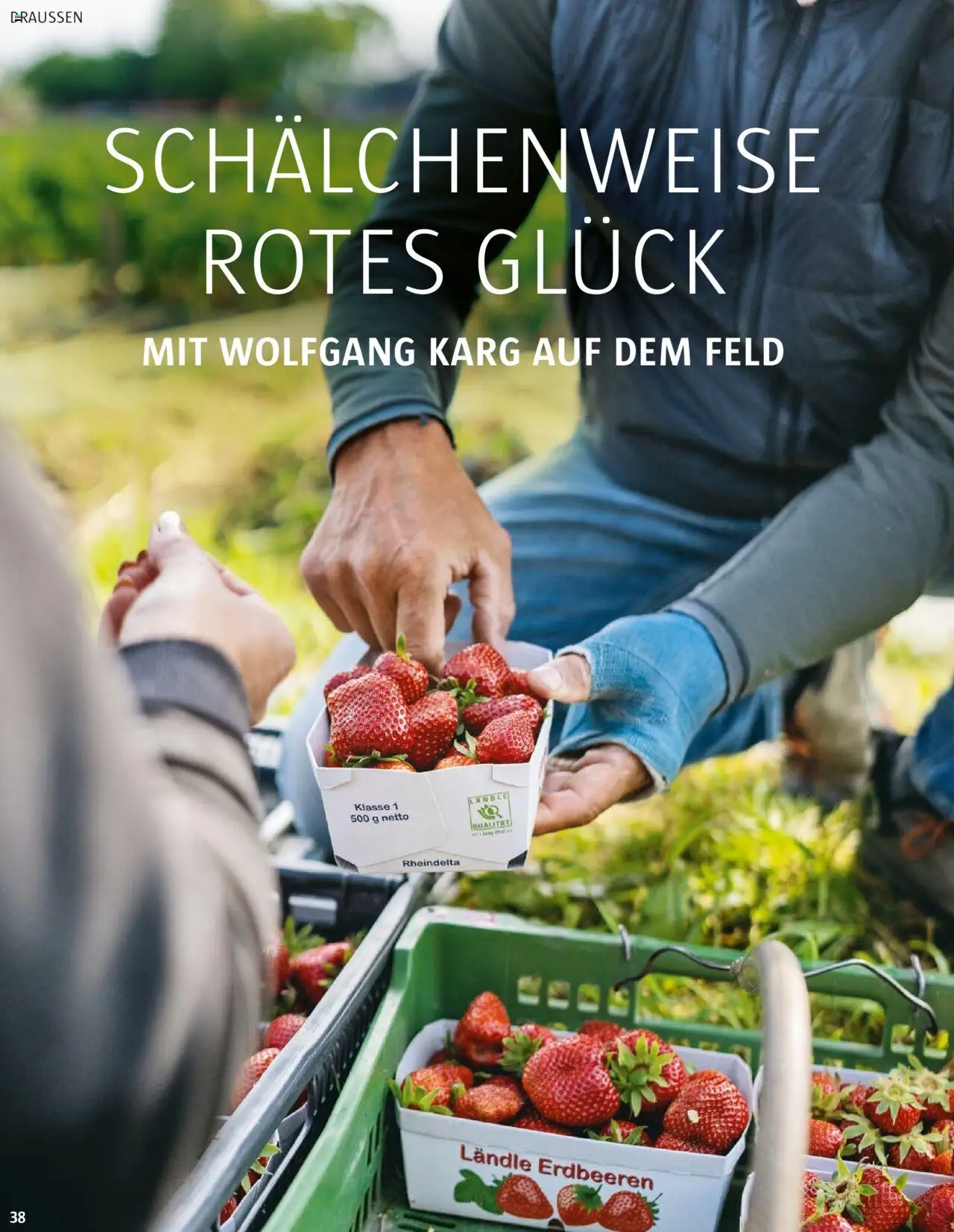 Sutterlüty B’sundrig Magazine gültig ab 18.06.2025 | Seite: 38 | Produkte: Erdbeeren