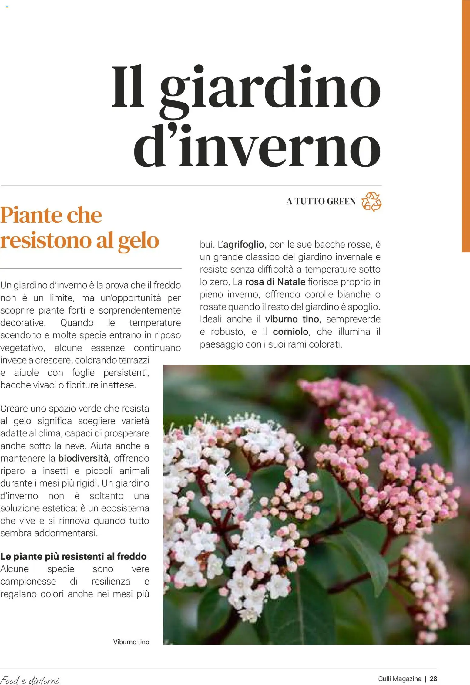 Volantino Gulliver del 01.01.2026 | Pagina: 28