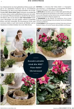 Dehner  Flugblatt ab 10.10.2025 gültig | Seite: 25 | Produkte: Tisch, Korb