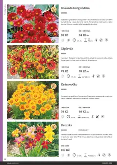 Náhled letáku Starkl katalog od 25.02.2026 | Strana: 58 | Produkty: Vázy