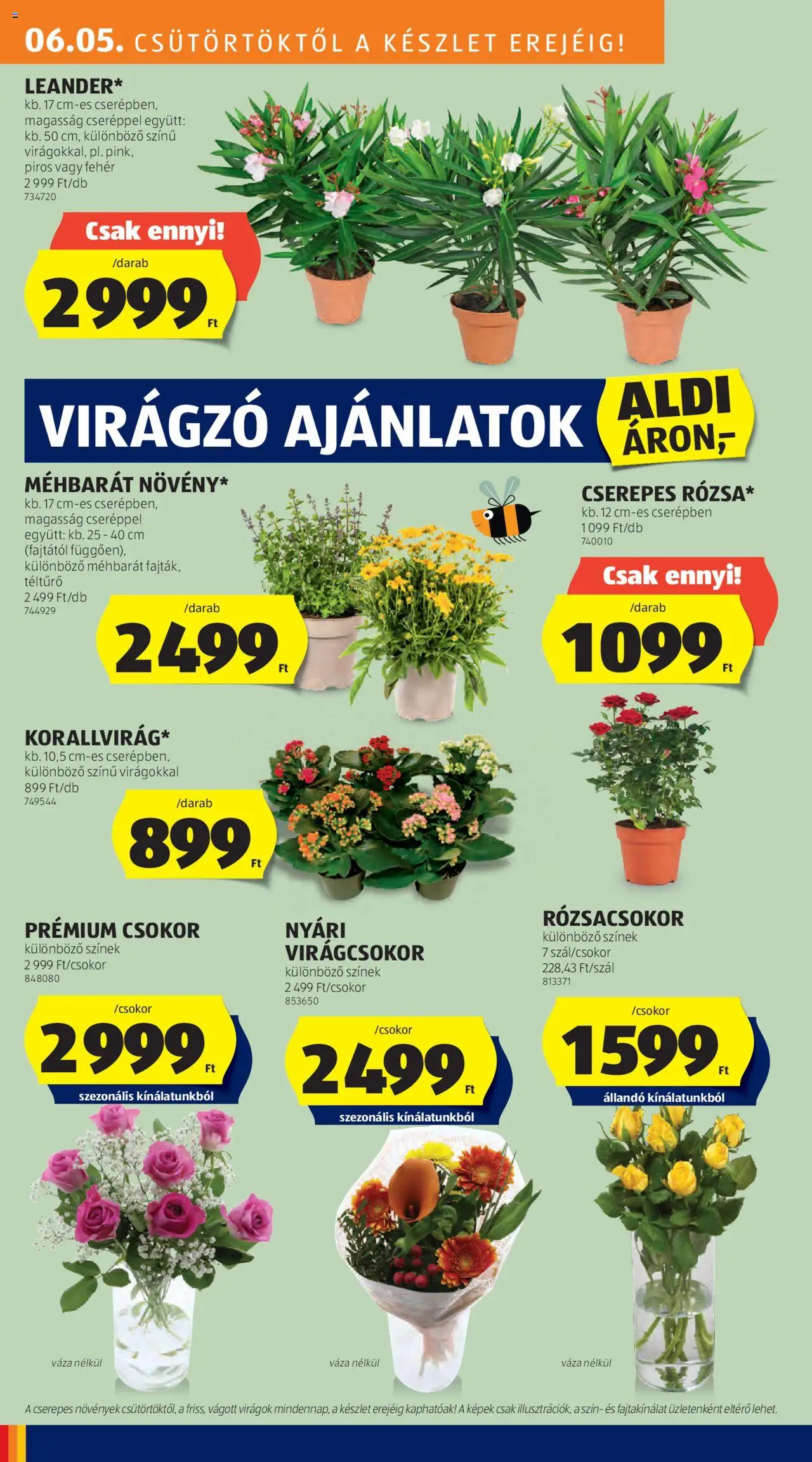 Aldi akciós ujság - amely érvényes a következő dátumtól: 05.06.2025 | Oldal: 28 | Termékek: Virágok, Váza