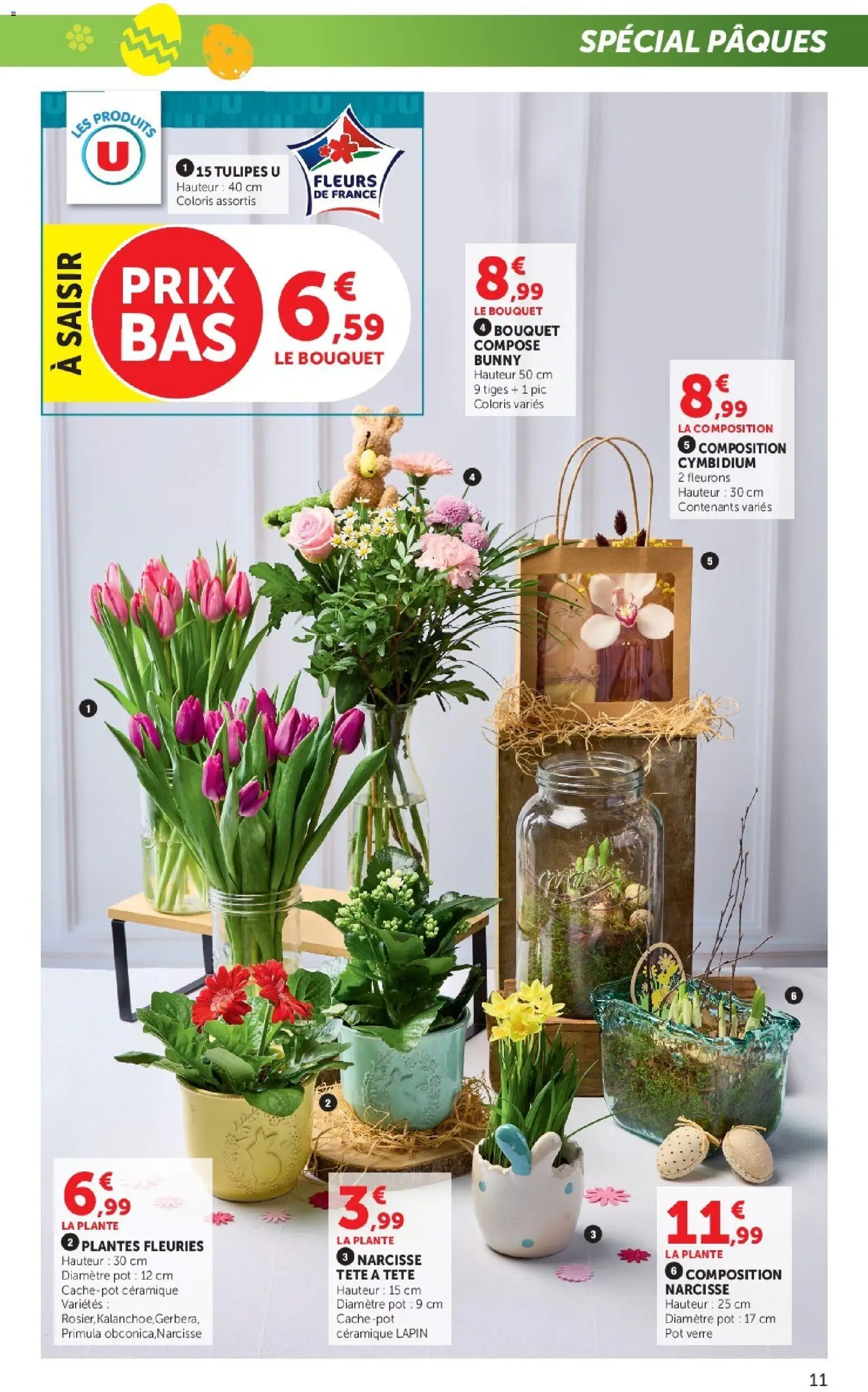 {H1} | Page: 11 | Produits: Plantes, Lapin, Tulipes