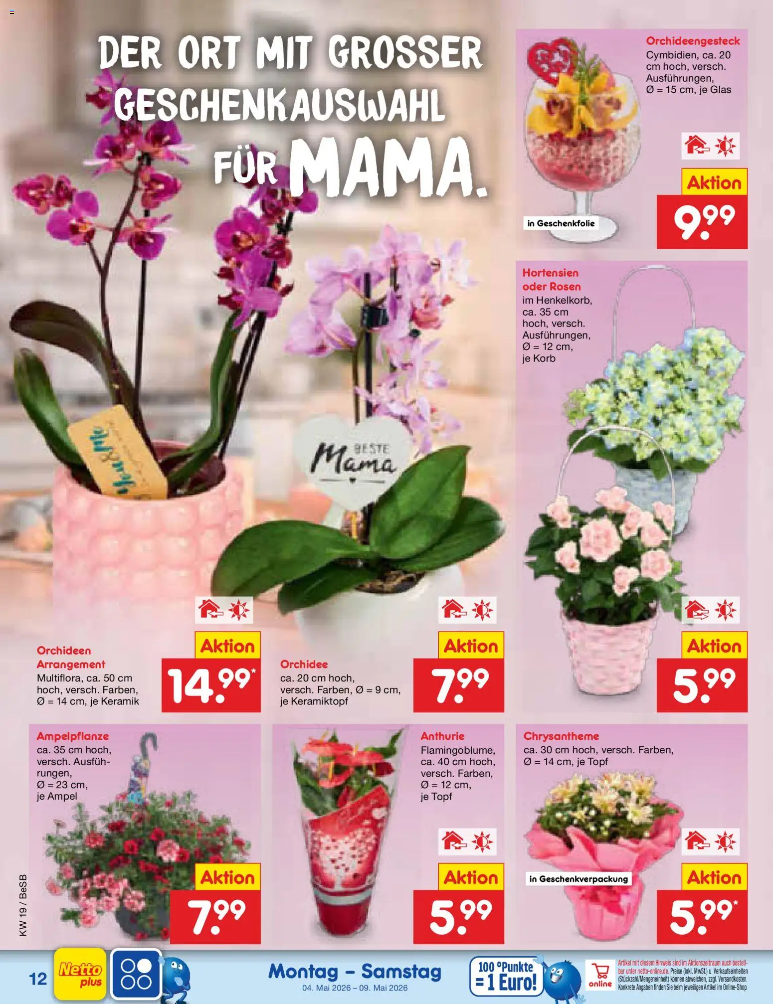 Netto Marken-Discount Prospekt 	 – gültig ab 04.05.2026 | Seite: 14 | Produkte: Orchidee, Korb