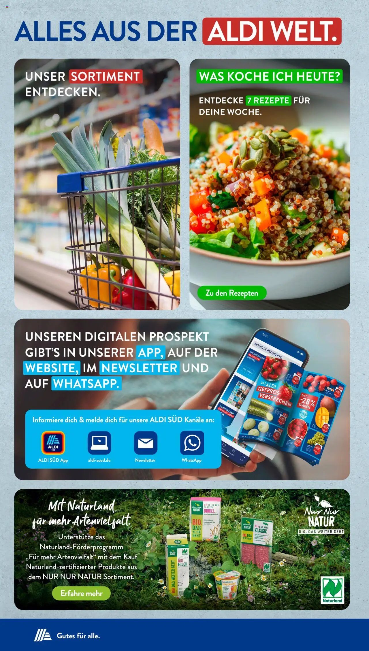Aldi Süd Prospekt 	 - gültig ab dem 30.06.2025 | Seite: 45