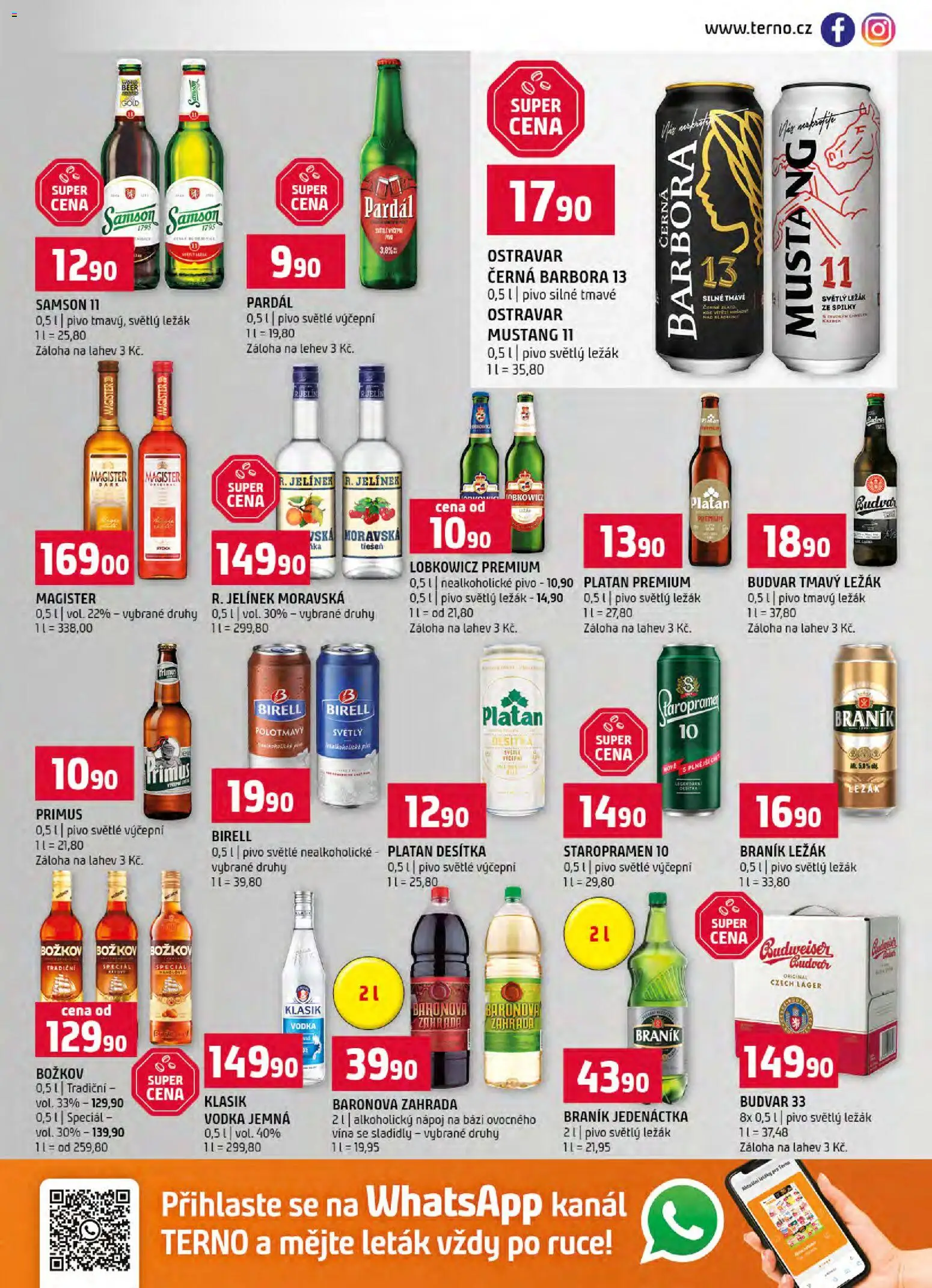 Terno leták od 02.01.2026 | Strana: 13