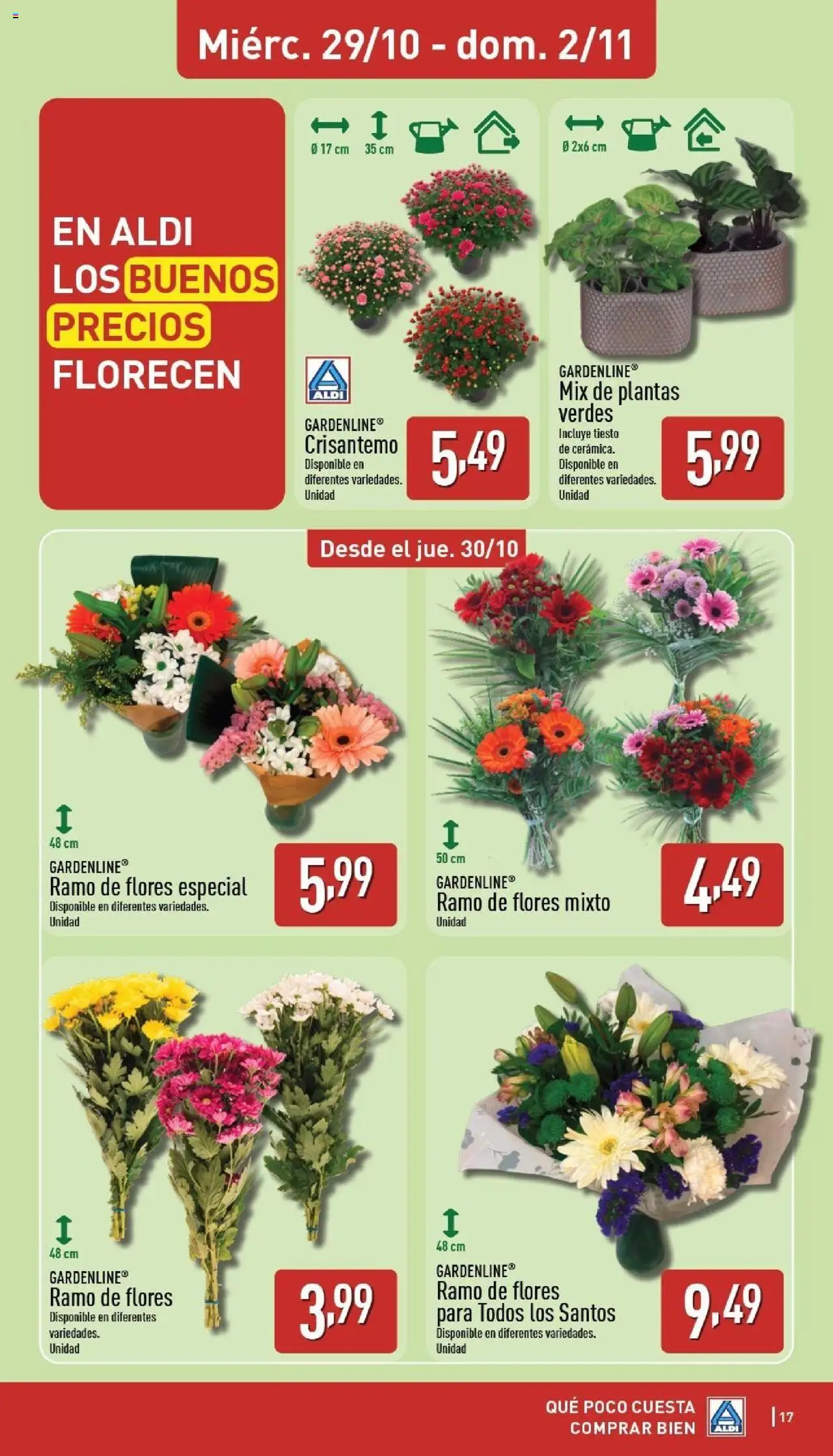 Aldi folleto Baleares │ válido desde el 27.10.2025 | Página: 17