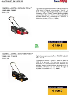 Anteprima del volantino Eurobrico Rasaerba catalogo valido a partire dal 23.07.2025 | Pagina: 21 | Prodotti: Rasaerba, Piatto