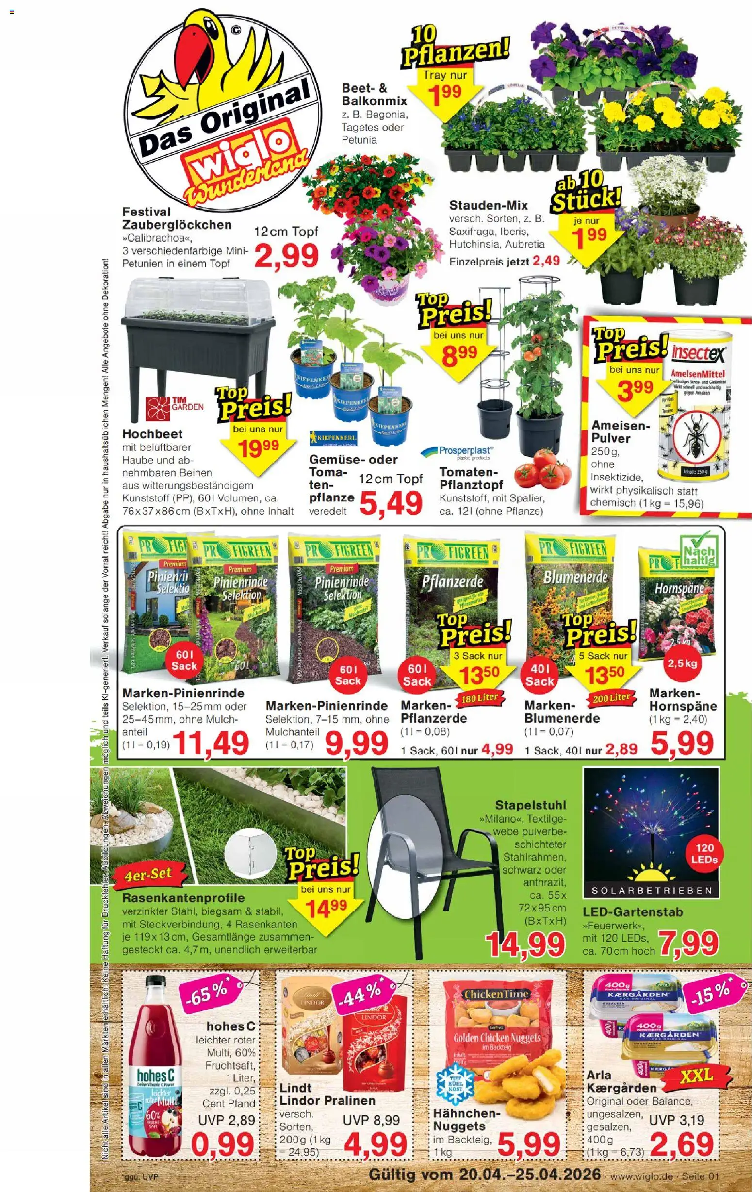 Wiglo Wunderland Prospekt 	 – gültig ab 20.04.2026 | Seite: 1 | Produkte: Hochbeet, Blumenerde, Hohes c, Lindt