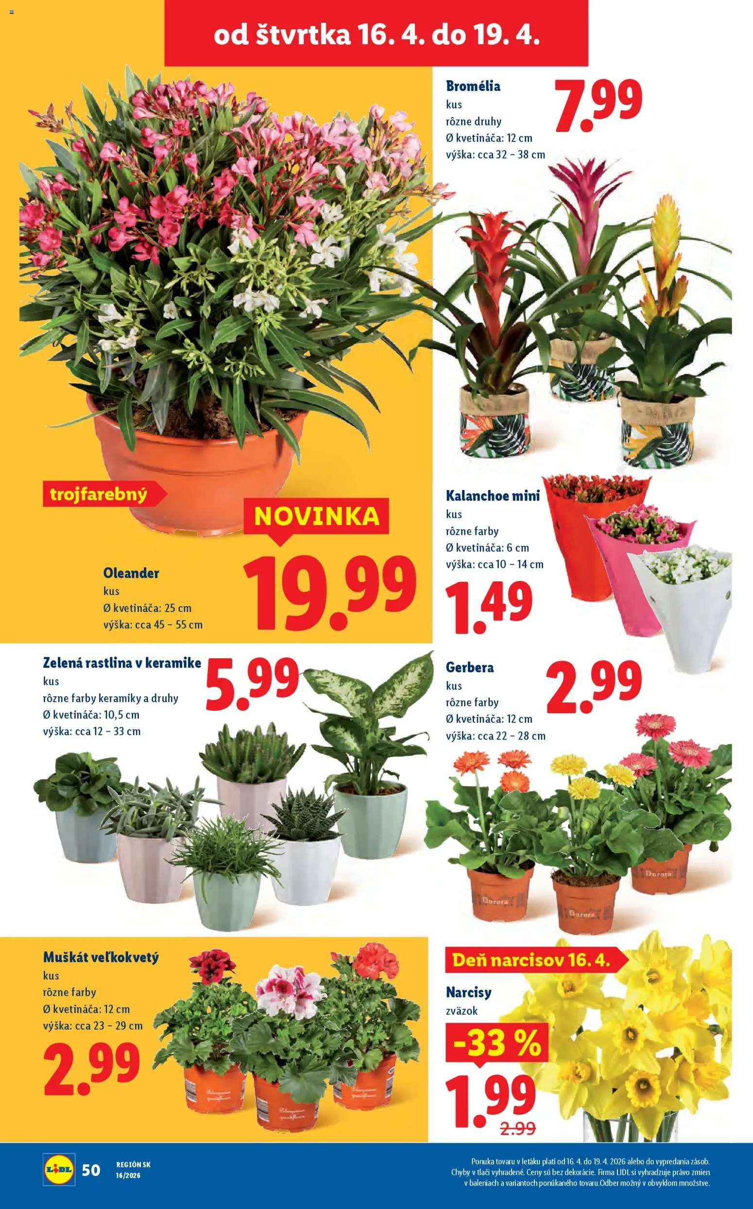 Nové Lidl akcie – leták je platný od 13.04.2026 | Strana: 74