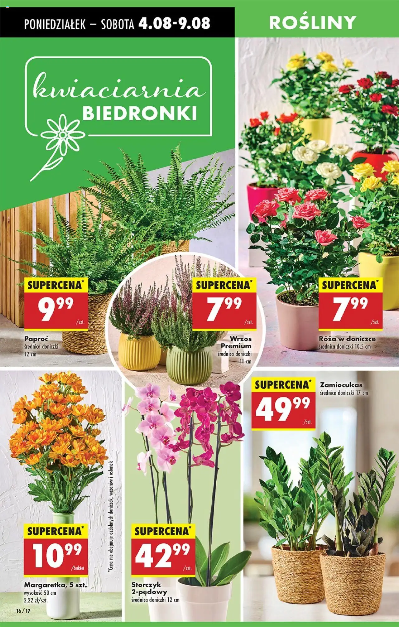 Biedronka gazetka od 04.08.2025 | Strona: 21