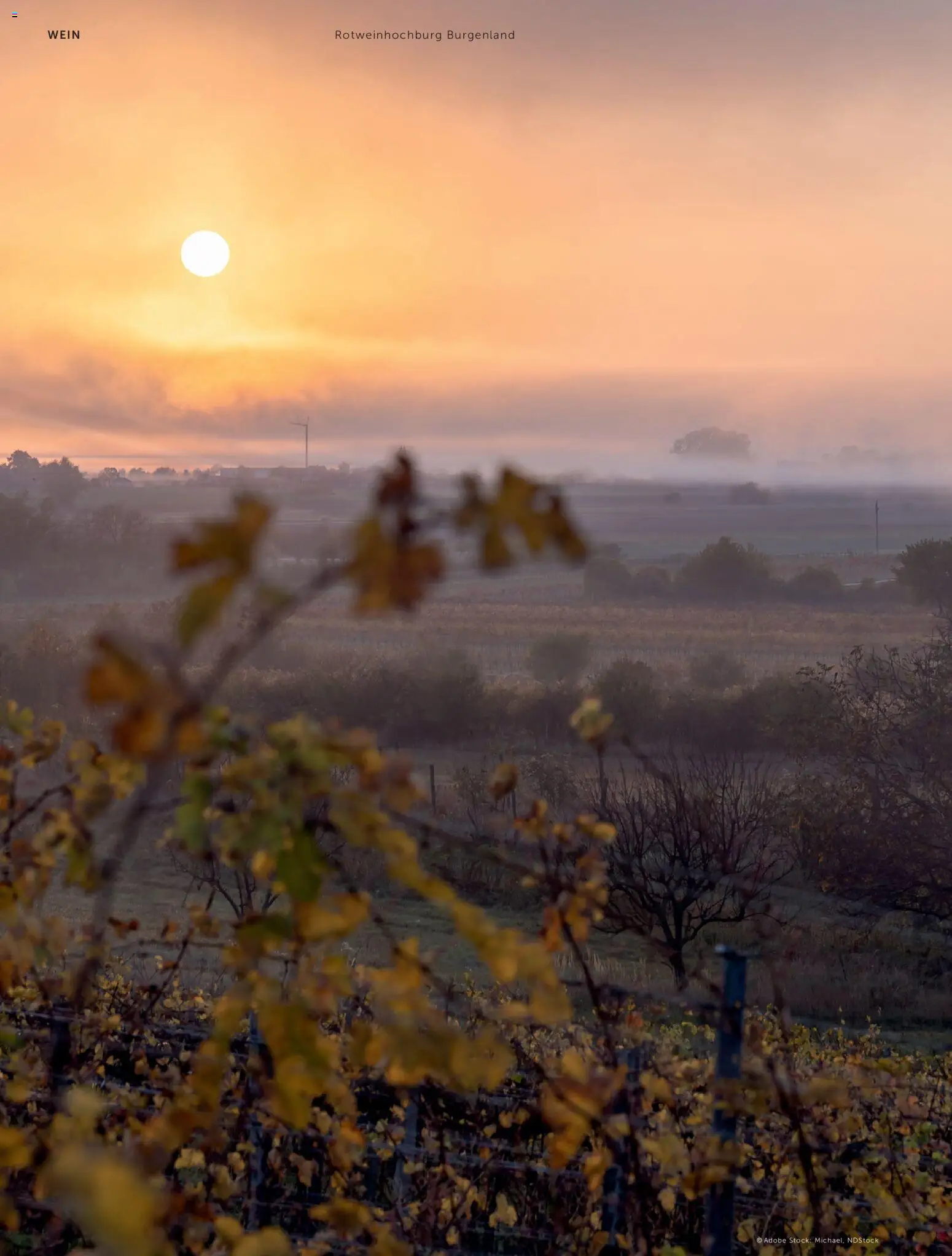 Interspar Meine Weinwelt Ausgabe Winter 2025 gültig ab 14.12.2025 | Seite: 22 | Produkte: Wein