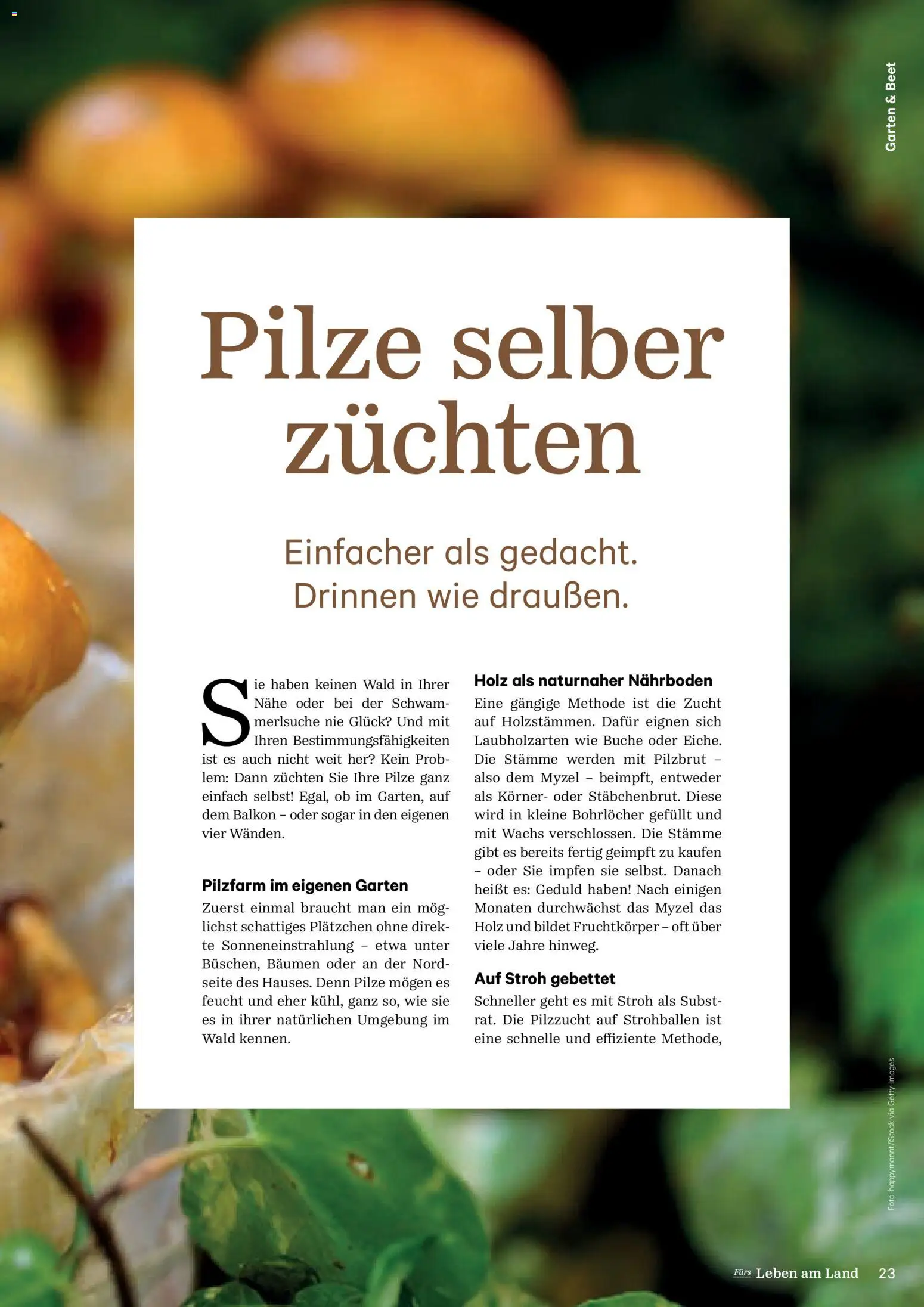 Lagerhaus Fürs Leben am Land gültig ab 01.11.2025 | Seite: 23