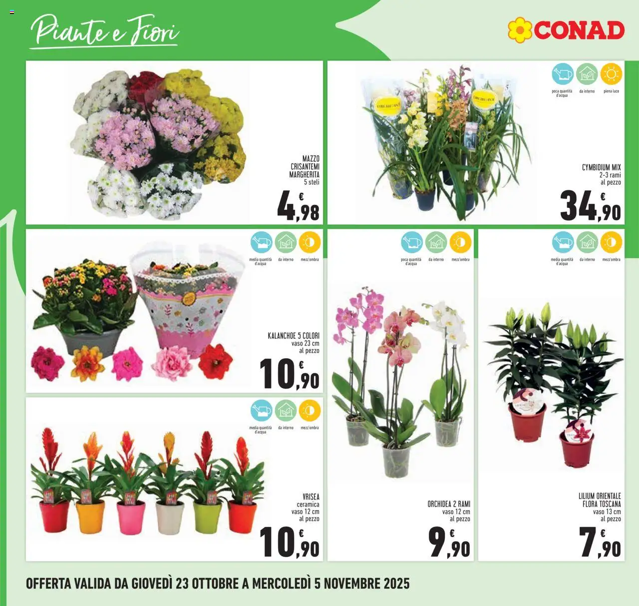 Volantino Conad del 23.10.2025 | Pagina: 26 | Prodotti: Orchidea, Crisantemi, Vaso