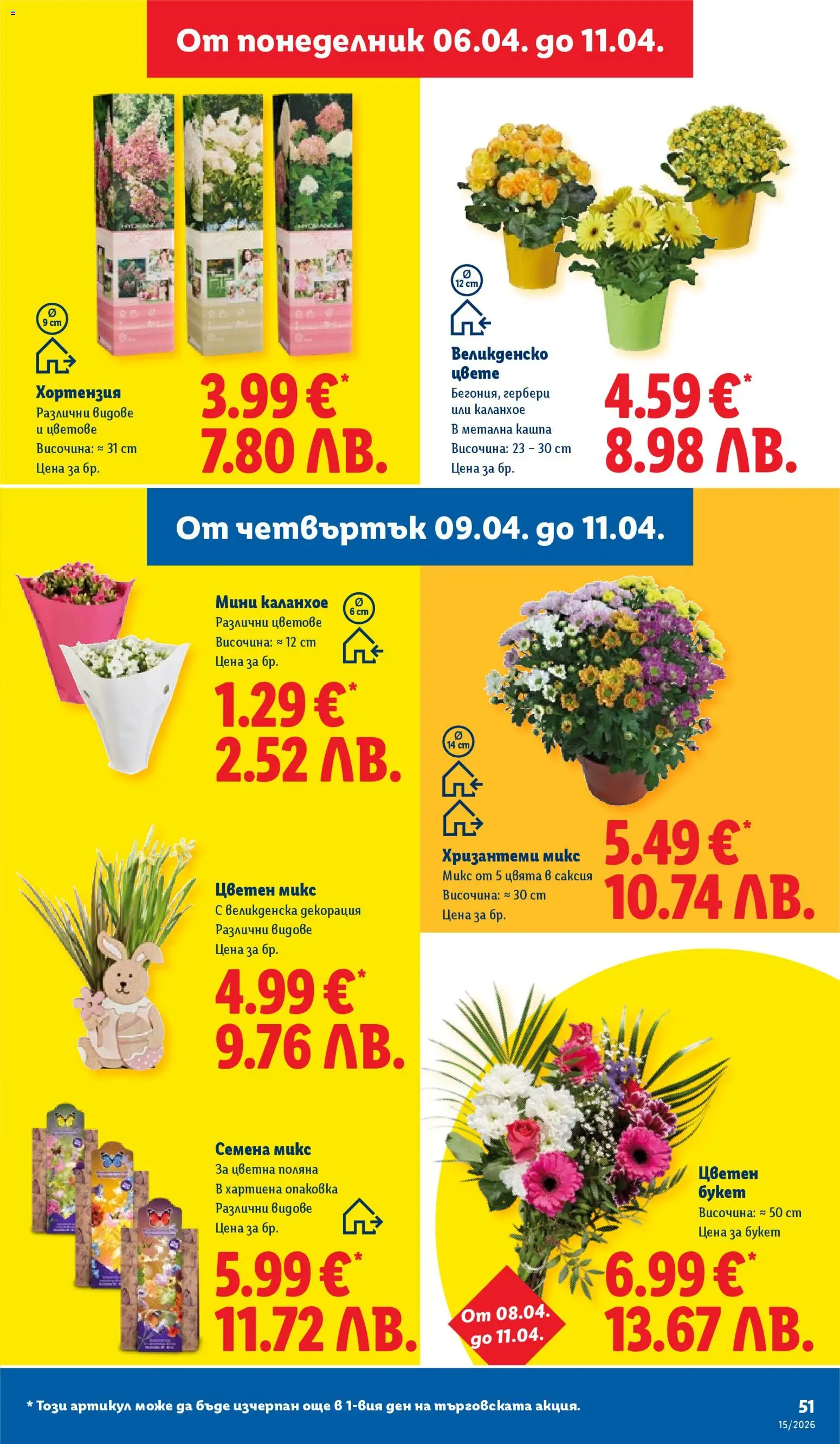 {H1} | Страница: 51 | Продукти: Декорация, Саксия, Семена