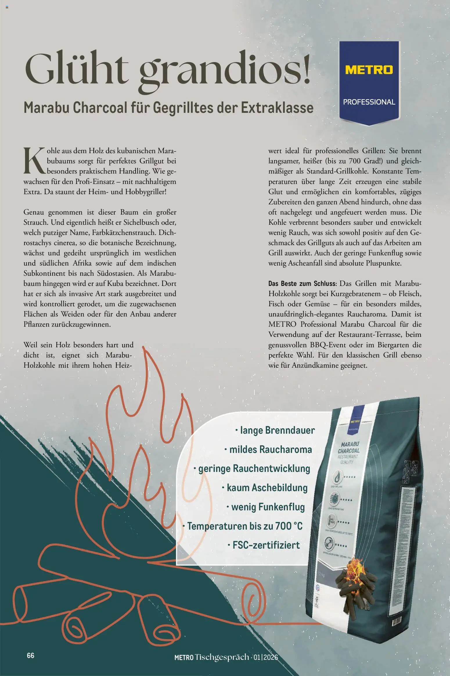 Metro Tischgespräch – gültig ab 01.02.2026 | Seite: 66 | Produkte: Grill, Fisch, Gemüse