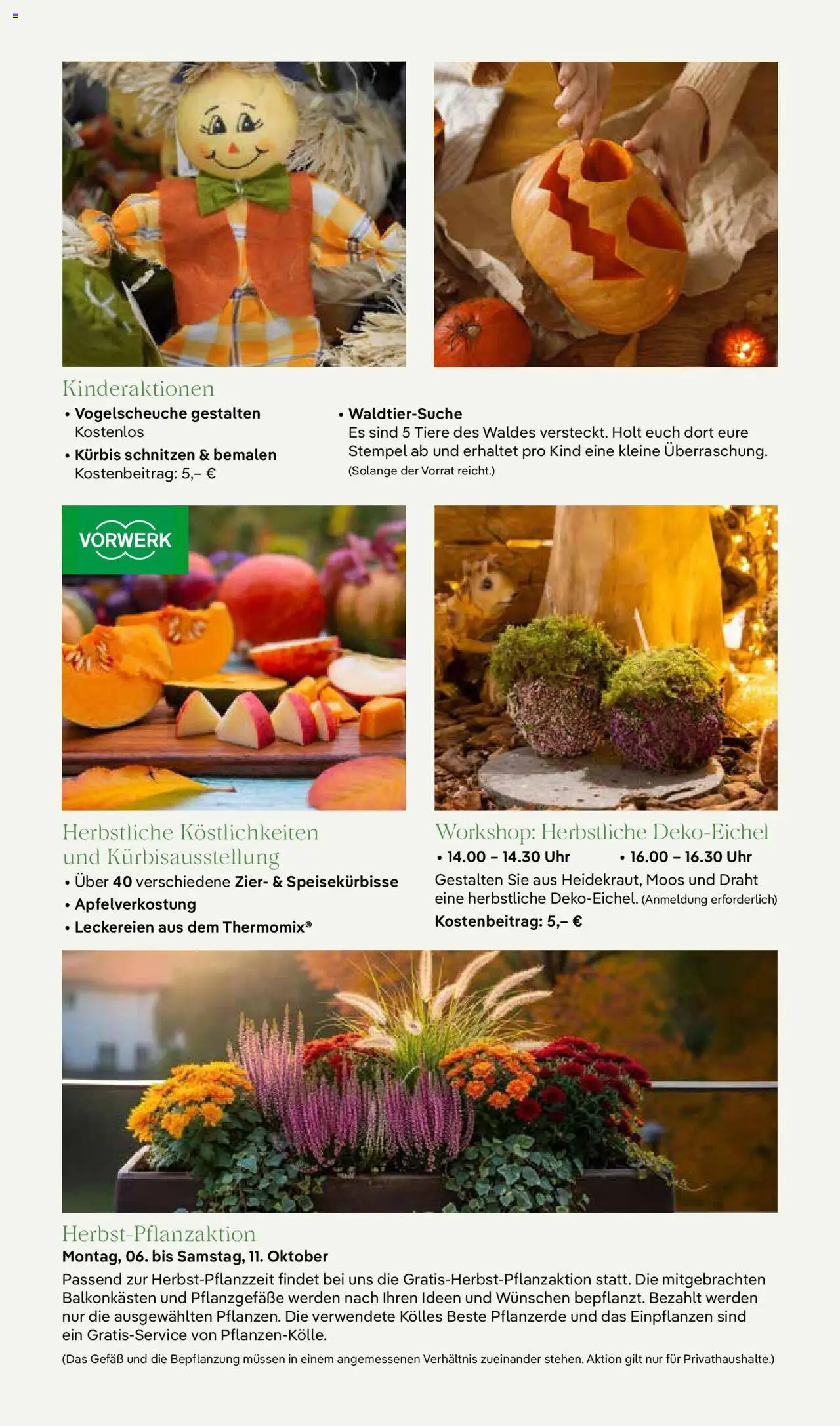 Pflanzen-Kölle Prospekt 	 – gültig ab 06.10.2025 | Seite: 11 | Produkte: Pflanzerde, Kürbis, Uhr