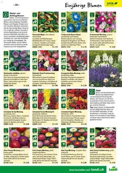 Landi ( Deaktivovane pre Letakomat )  Aktionen ab 07.01.2026 gültig | Seite: 25 | Produkte: Teppich