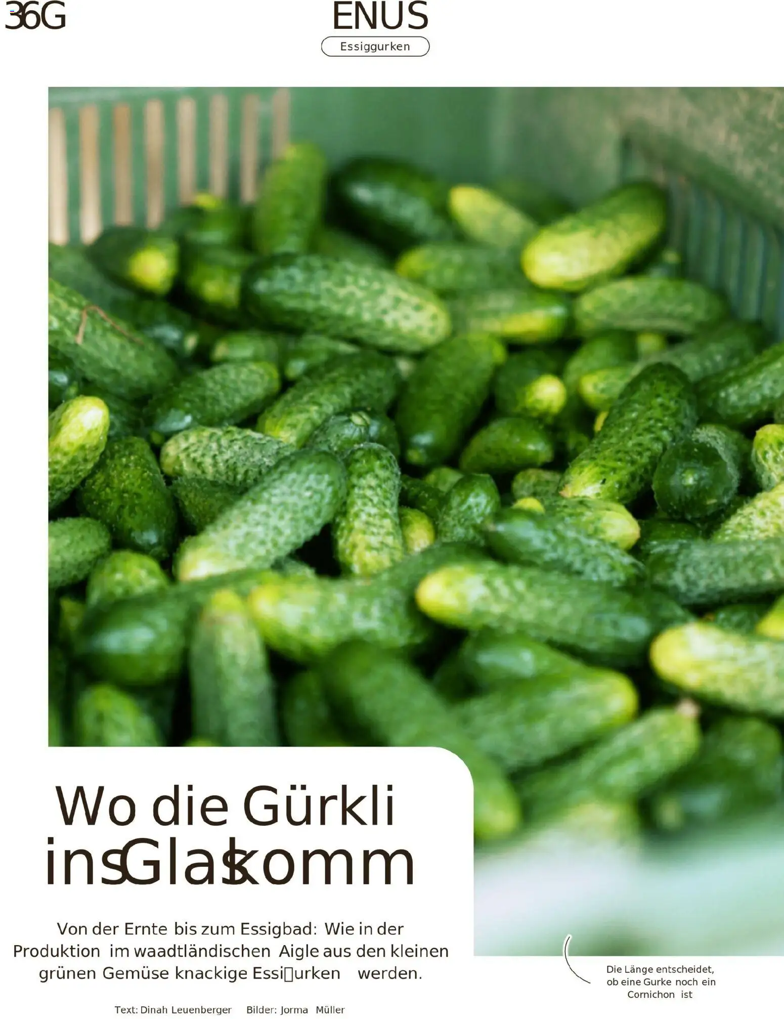 Migros Migros-Magazin-44-2025-d-AA – gültig ab 27.10.2025 | Seite: 36 | Produkte: Gemüse, Bilder