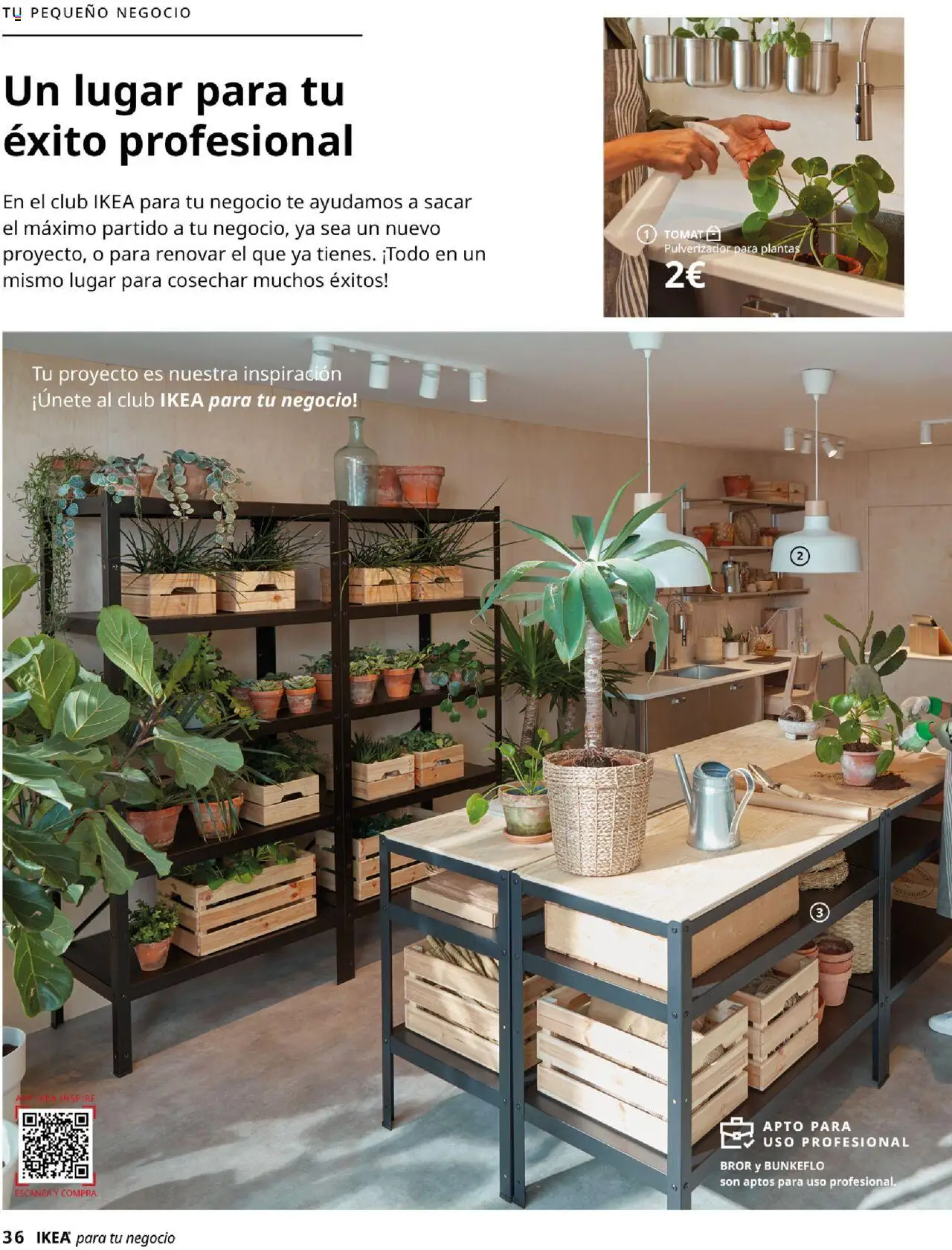 Catálogo IKEA para tu negocio │ válido desde el 04.02.2025 | Página: 36 | Productos: Té
