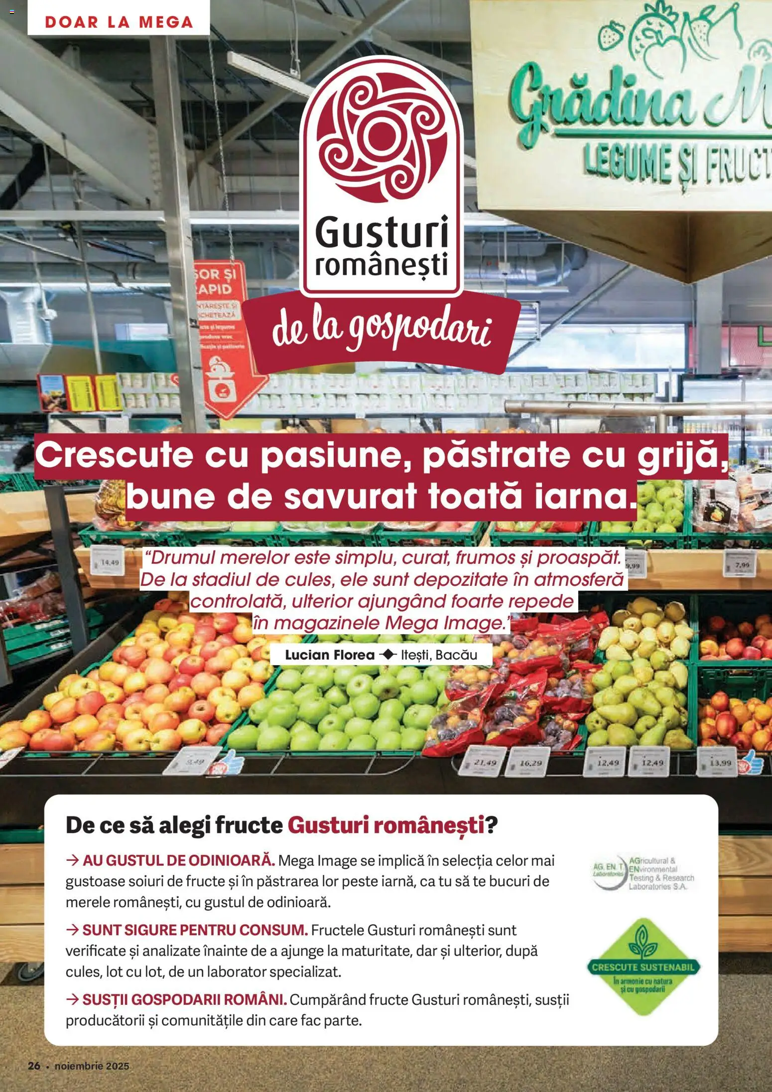 Noul catalog Mega Image – valabil de la 30.10.2025 | Pagină: 26 | Produse: Pește, Legume, Fructe