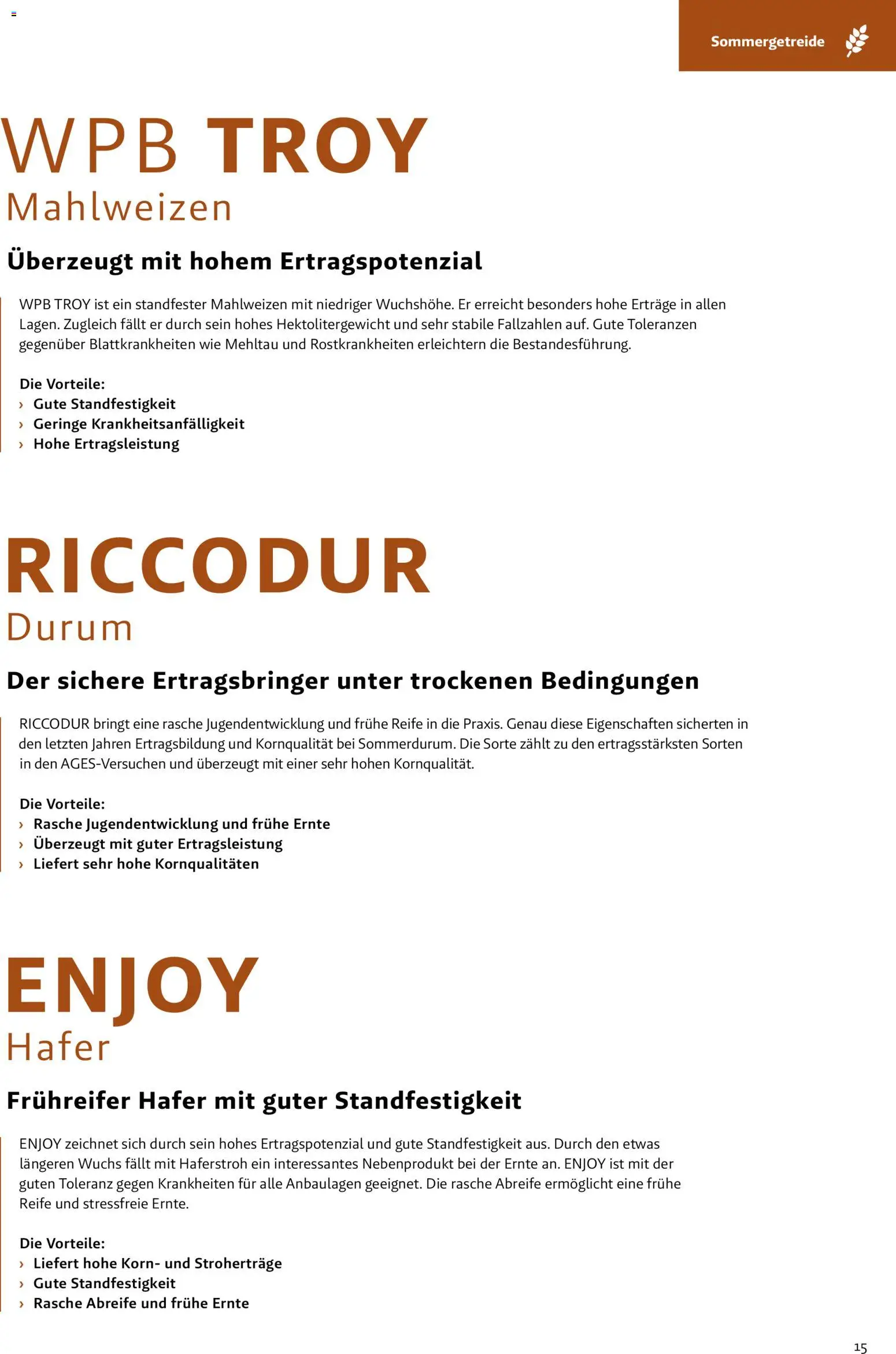 Lagerhaus - Frühjahr 2026 Östliches  Niederösterreich gültig ab 01.03.2026 | Seite: 15