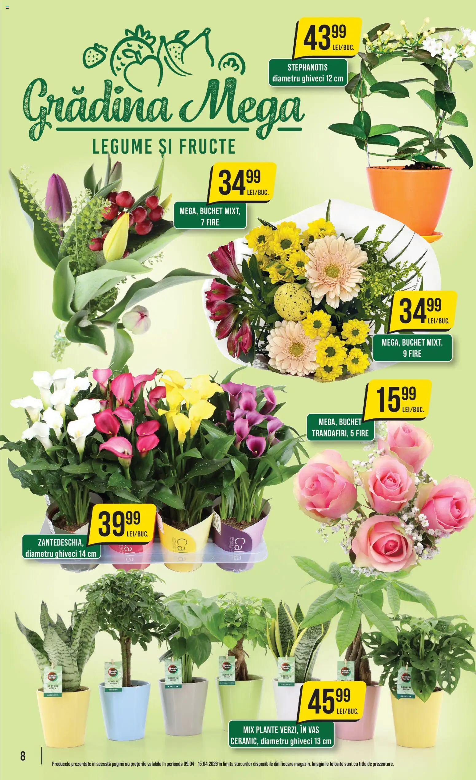 Noul catalog Mega Image – valabil de la 09.04.2026 | Pagină: 8 | Produse: Ghiveci, Legume, Fructe