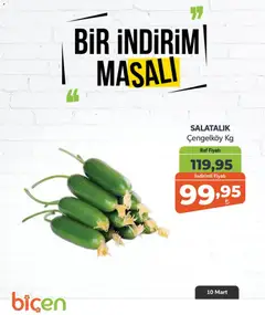10.03.2026 tarihinden itibaren geçerli olan Biçen Market kataloğu önizlemesi | Sayfa: 9 | Ürünler: Raf, Salatalık