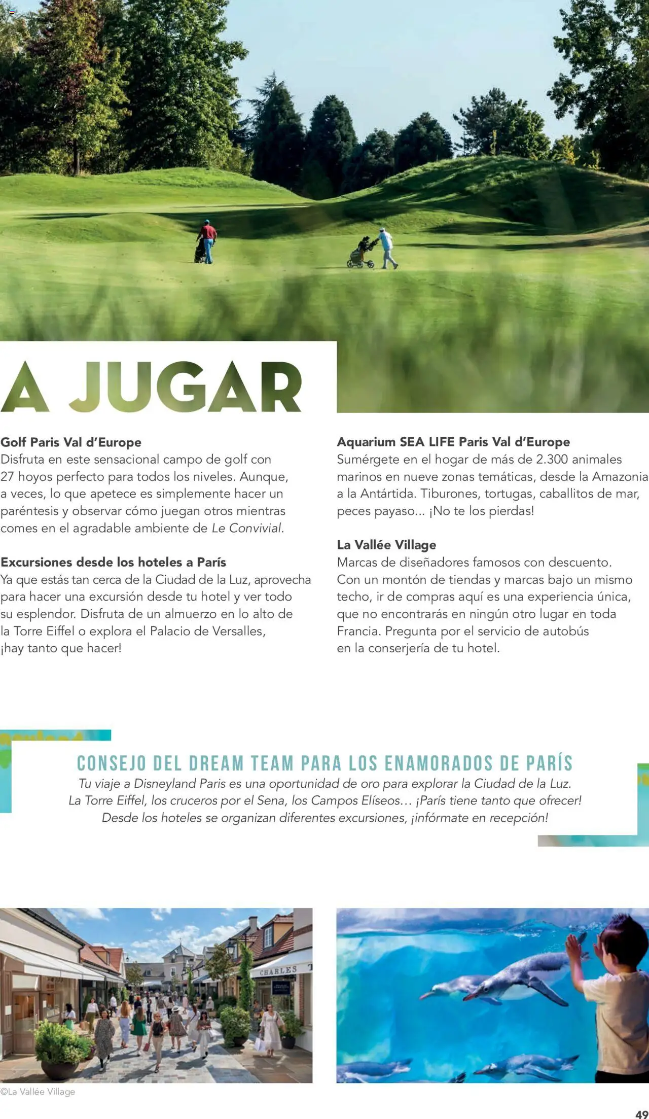 Viajes El Corte Inglés - Disneyland Paris 2025 2026 │ válido desde el 01.04.2025 | Página: 51 | Productos: Té