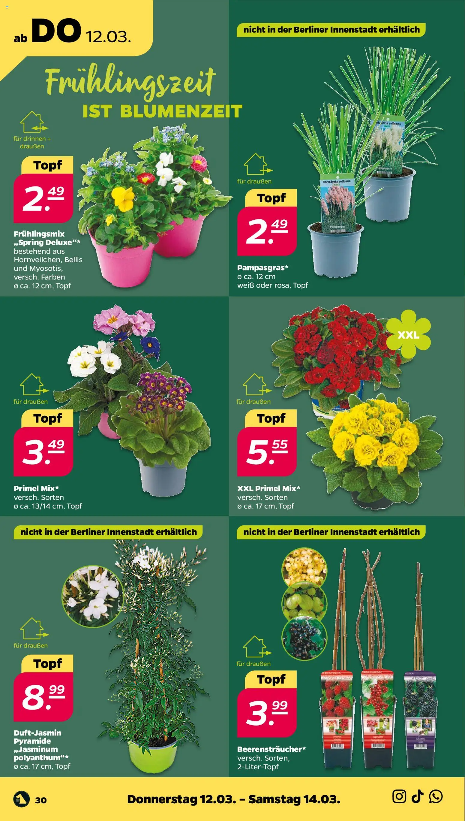 Netto Prospekt 	 – gültig ab 09.03.2026 | Seite: 36 | Produkte: Berliner