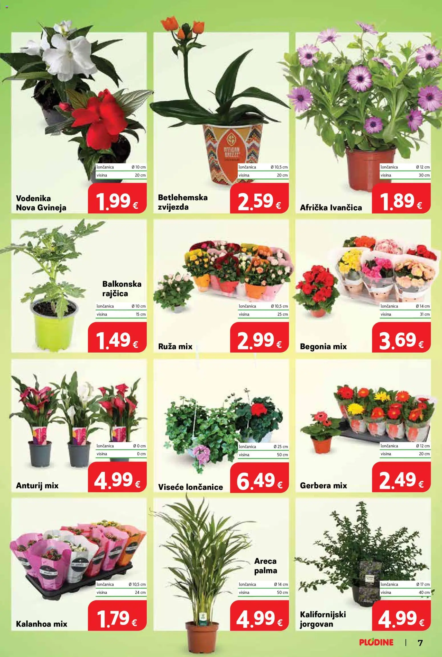 Plodine katalog | vrijedi od 15.04.2026 | Stranica: 7 | Proizvodi: Rajčica
