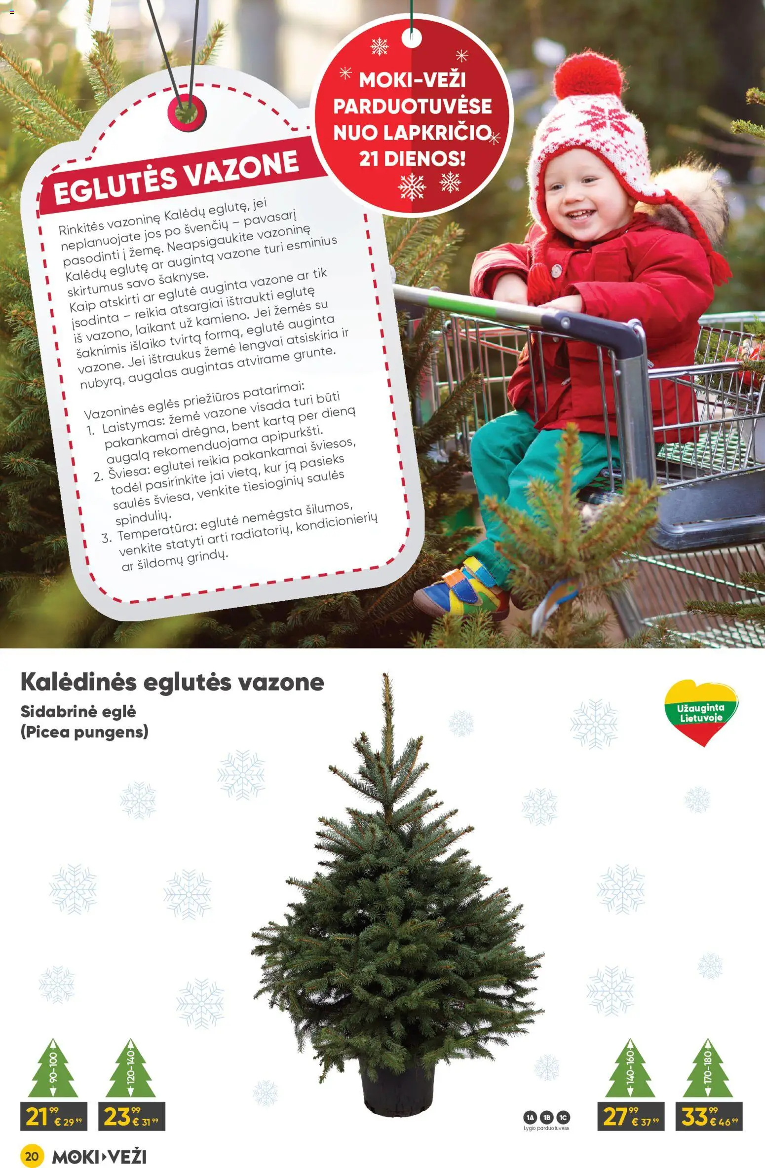 MOKI VEŽI akcijos nuo 13.11.2025 | Puslapis: 20