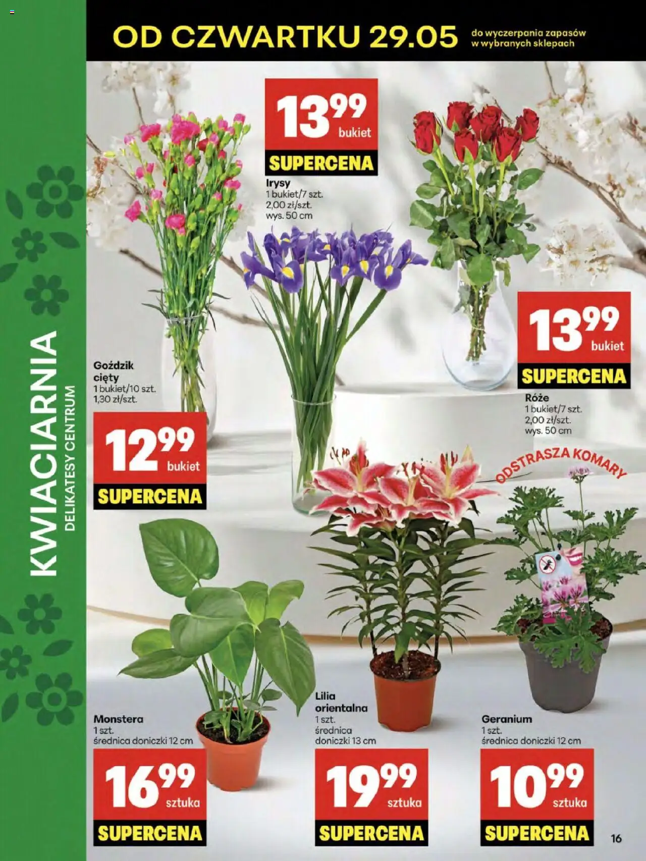 Delikatesy Centrum Gazetka od 29.05.2025 | Strona: 16 | Produkty: Goździk, Delikatesy, Doniczki