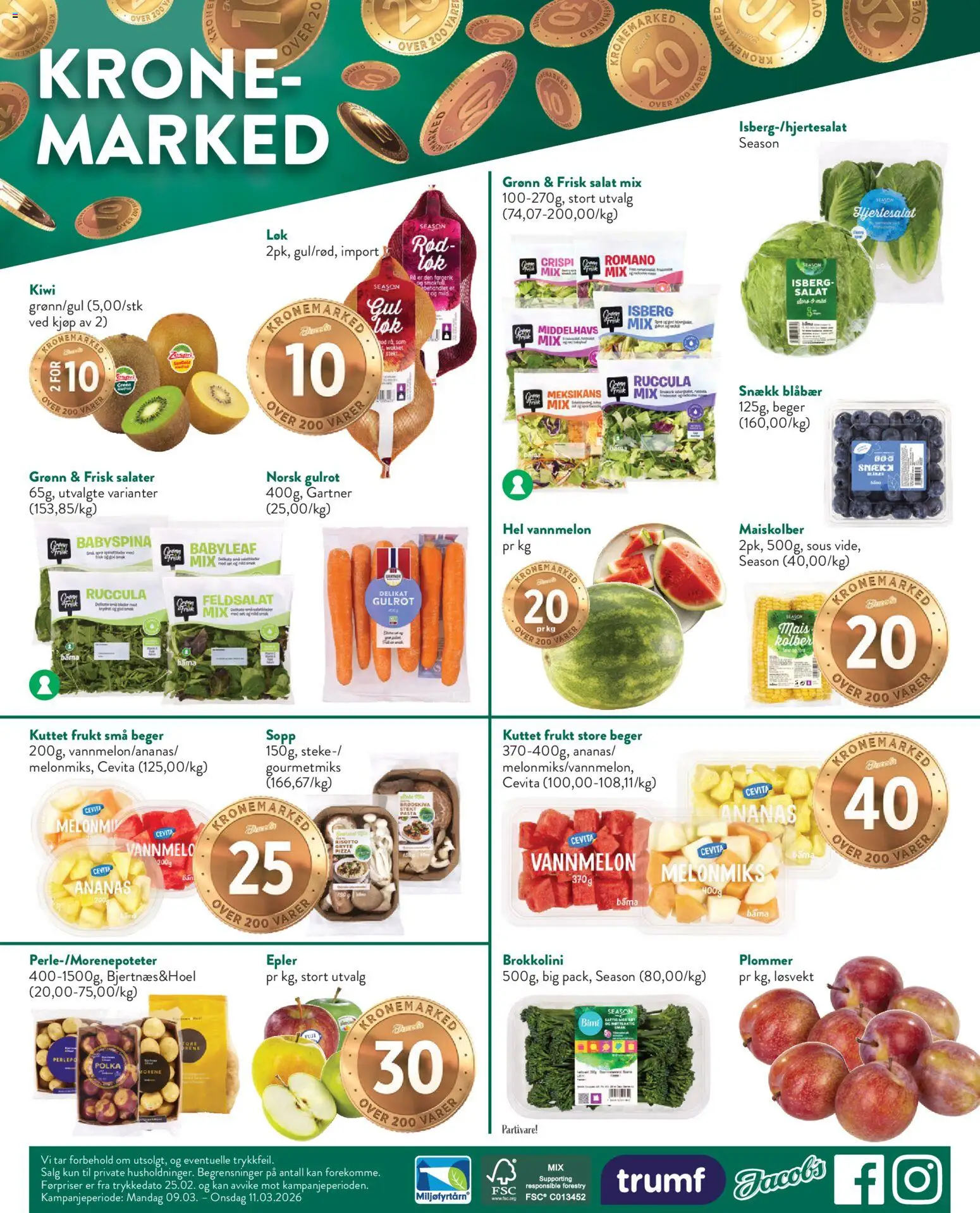 {H1} | Side: 8 | Produkter: Ananas, Kiwi, Blåbær, Hjertesalat