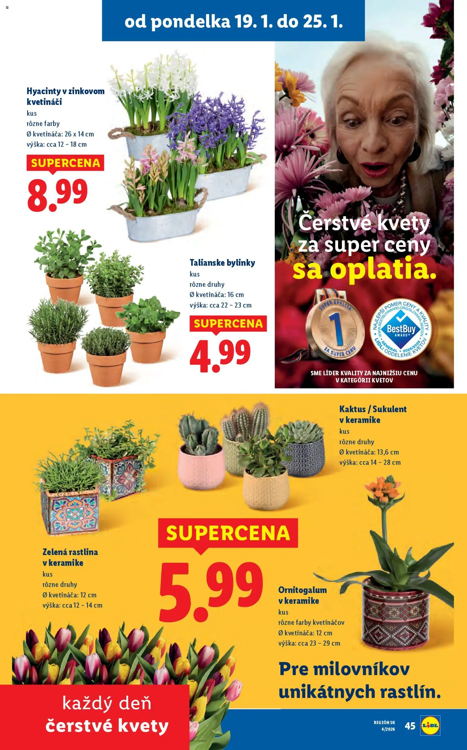 Nové Lidl akcie – leták je platný od 22.01.2026 | Strana: 78 | Produkty: Kvety