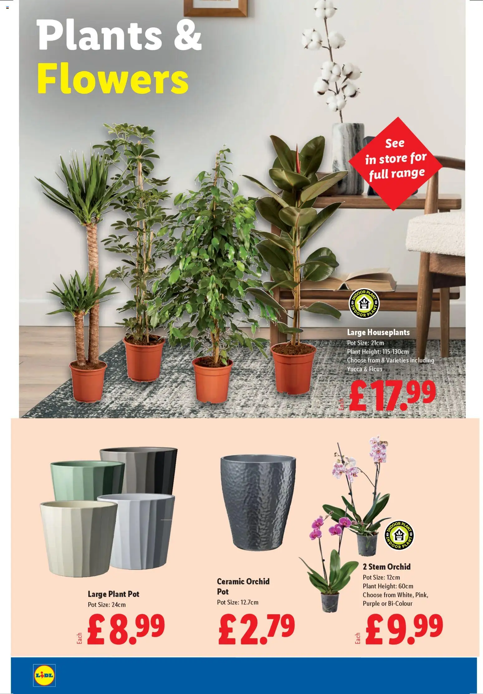 {H1} | Page: 22 | Products: Pot, Plant pot