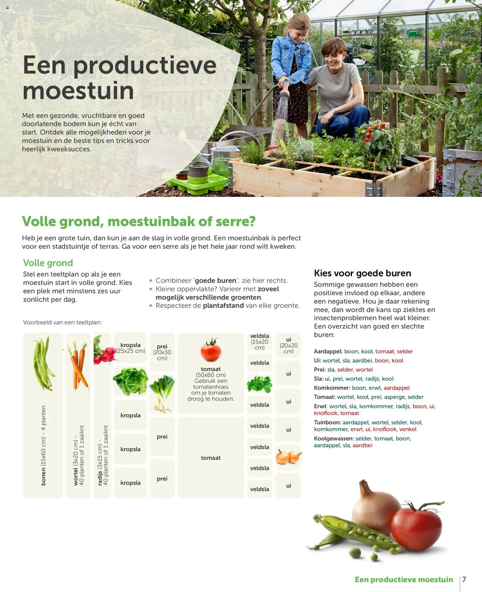 {H1} | Pagina: 7 | Producten: Aardbei, Kool, Tomaat, Sla