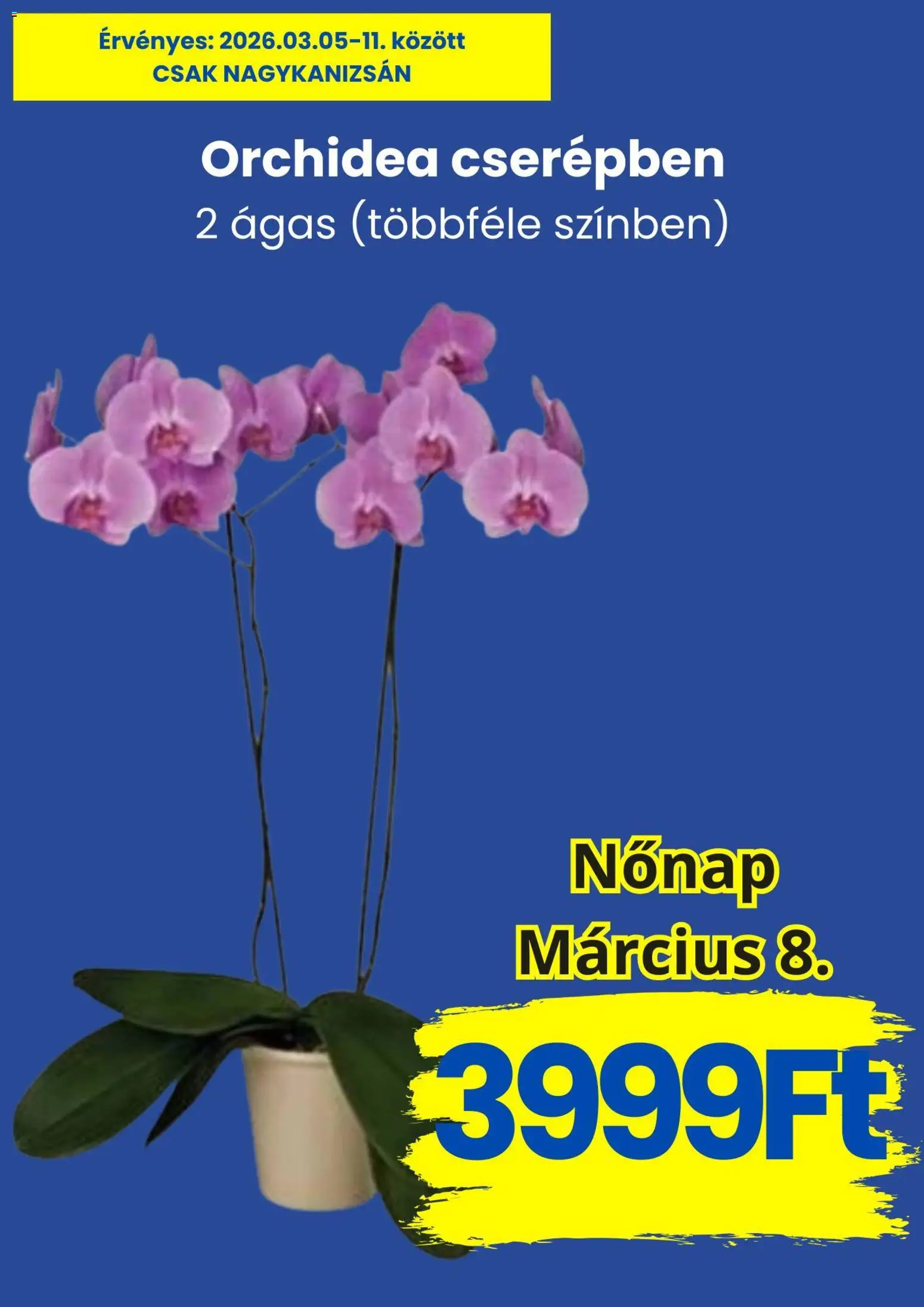 Magnetic akciós ujság - amely érvényes a következő dátumtól: 05.03.2026 | Oldal: 2 | Termékek: Orchidea